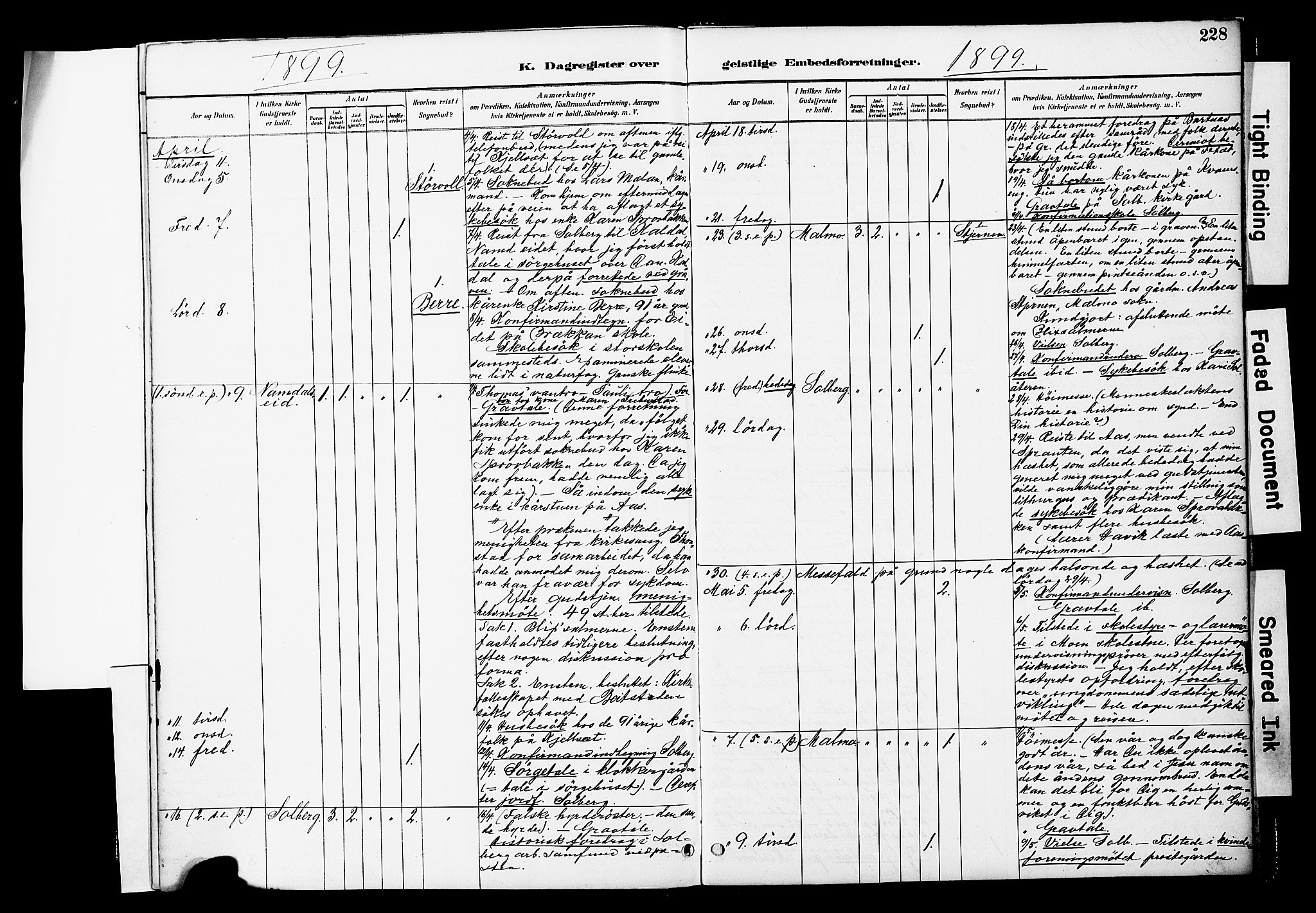 Ministerialprotokoller, klokkerbøker og fødselsregistre - Nord-Trøndelag, AV/SAT-A-1458/741/L0396: Parish register (official) no. 741A10, 1889-1901, p. 228