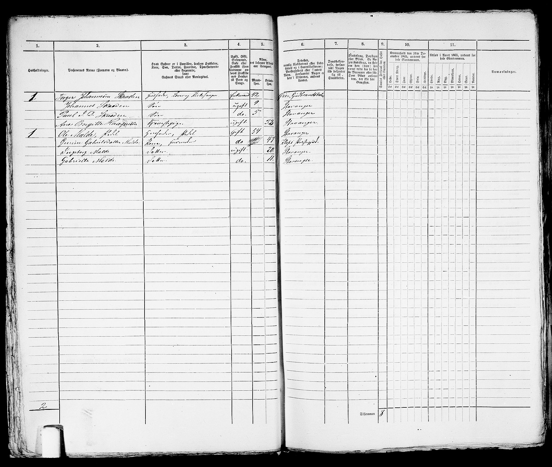 RA, 1865 census for Stavanger, 1865, p. 2041