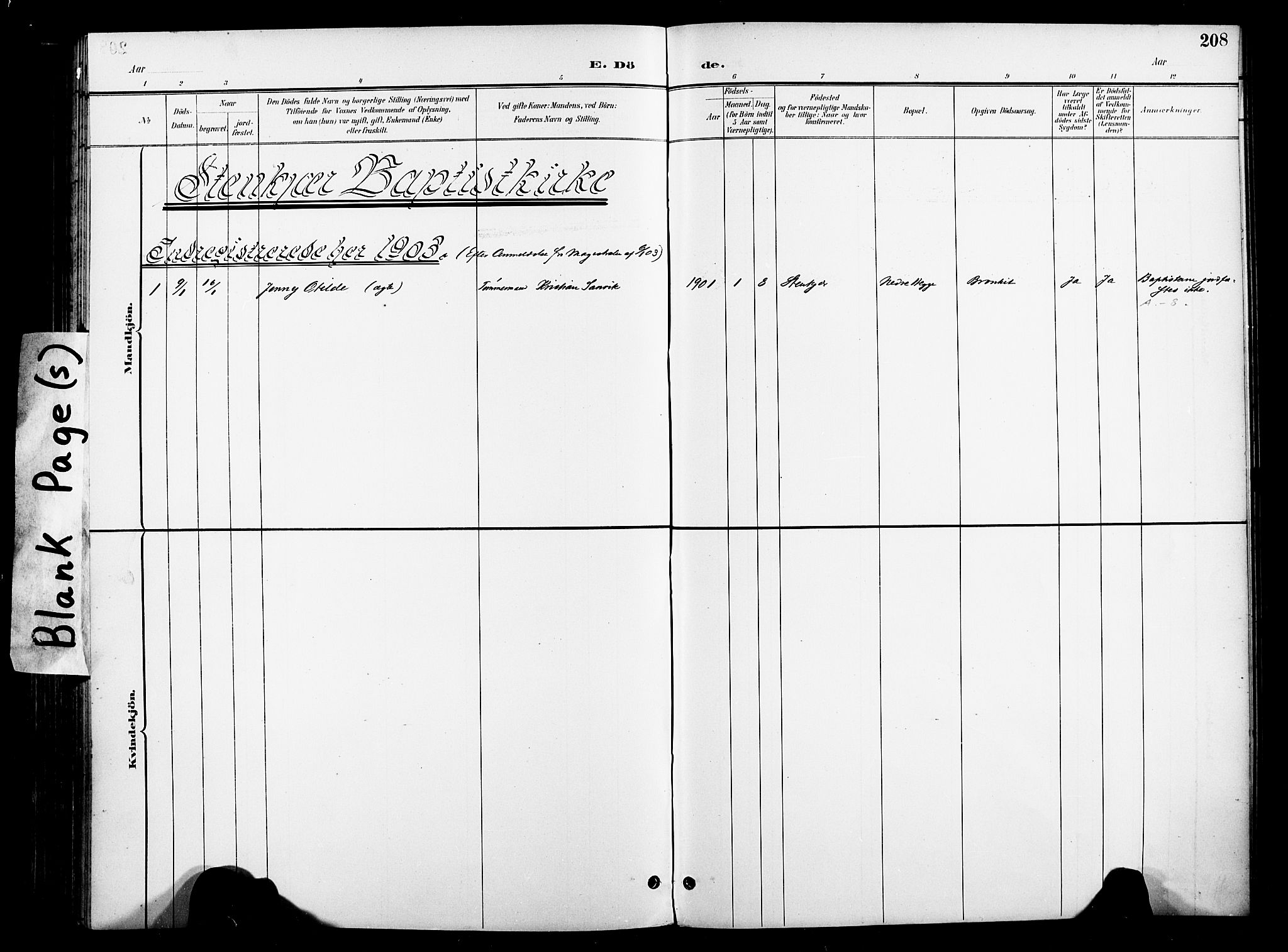 Ministerialprotokoller, klokkerbøker og fødselsregistre - Nord-Trøndelag, SAT/A-1458/739/L0372: Parish register (official) no. 739A04, 1895-1903, p. 208