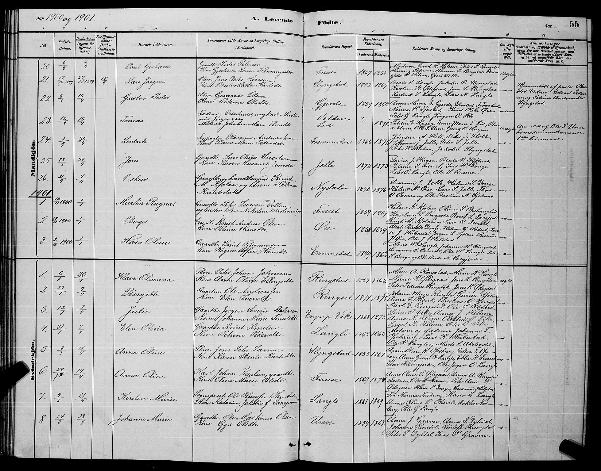 Ministerialprotokoller, klokkerbøker og fødselsregistre - Møre og Romsdal, AV/SAT-A-1454/520/L0292: Parish register (copy) no. 520C04, 1882-1901, p. 55