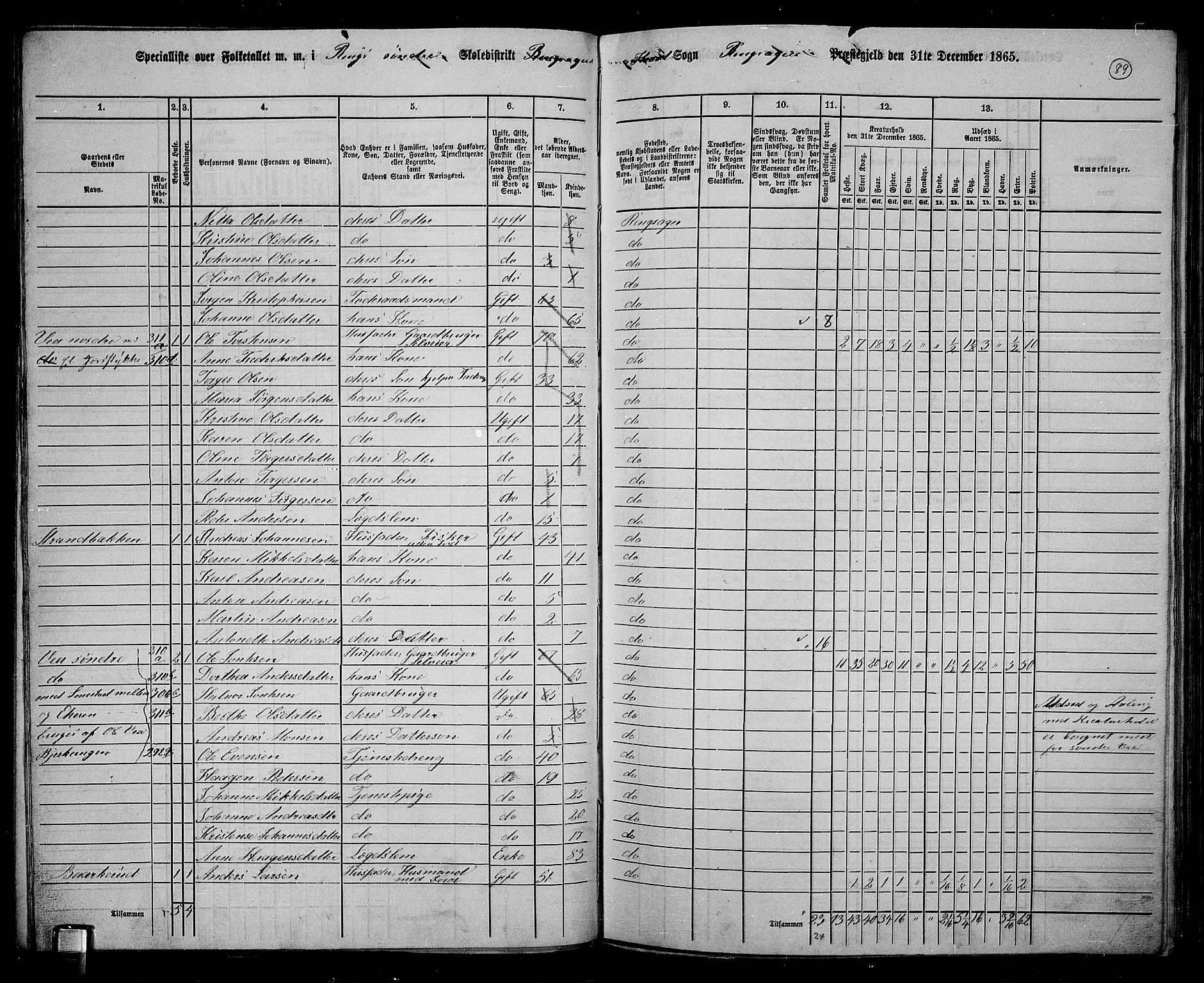 RA, 1865 census for Ringsaker, 1865, p. 338