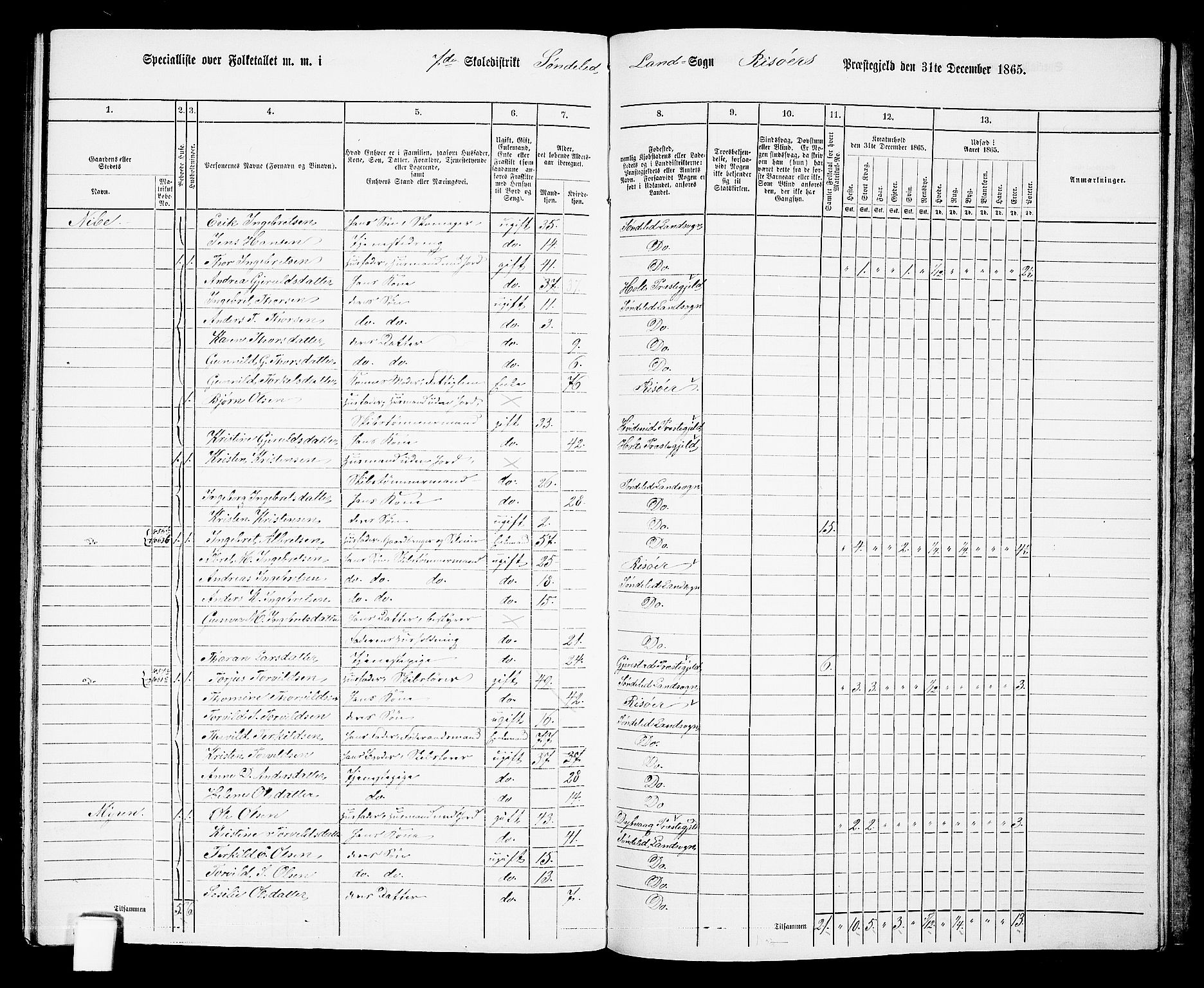 RA, 1865 census for Risør/Søndeled, 1865, p. 135