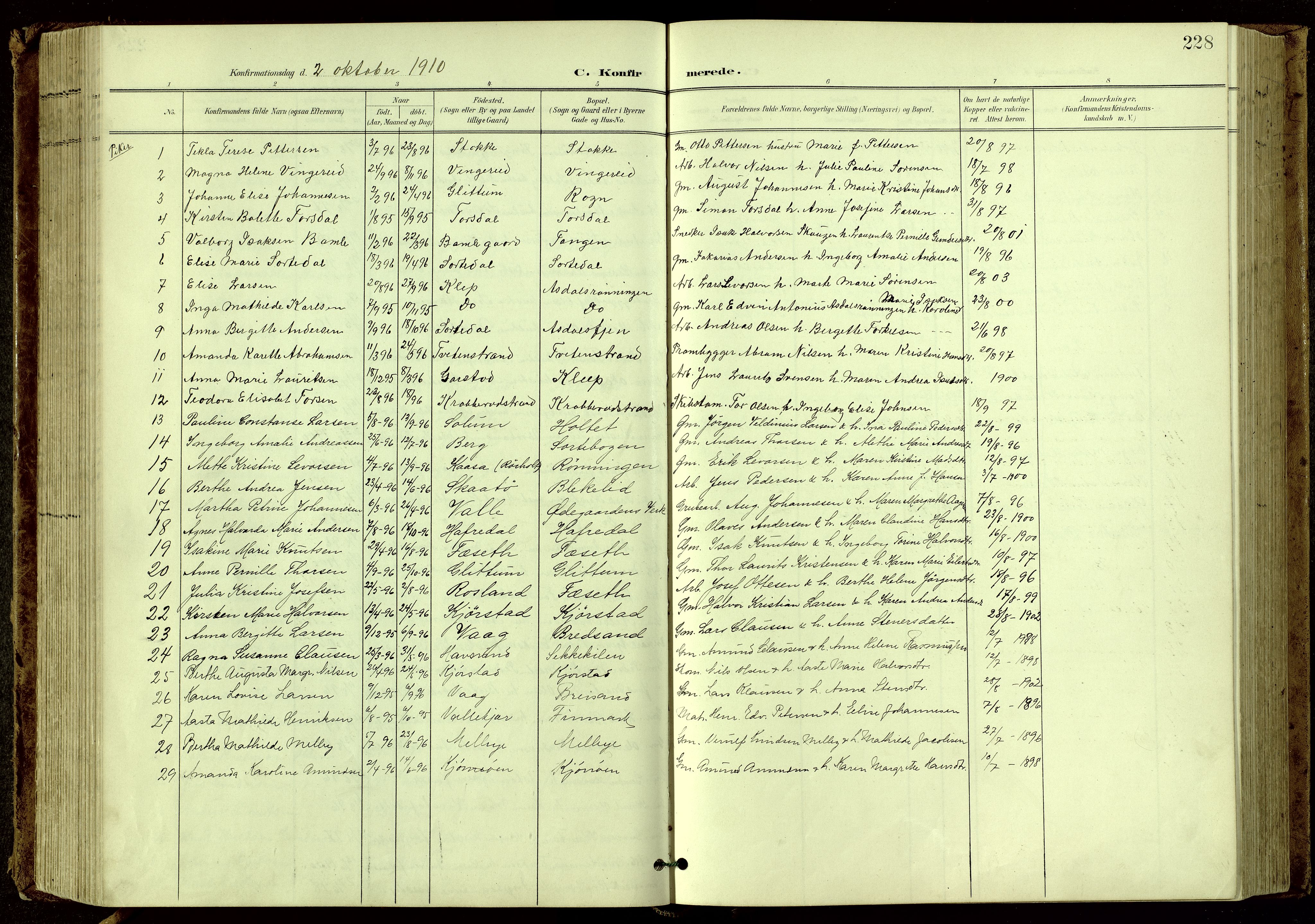 Bamble kirkebøker, SAKO/A-253/G/Ga/L0010: Parish register (copy) no. I 10, 1901-1919, p. 228