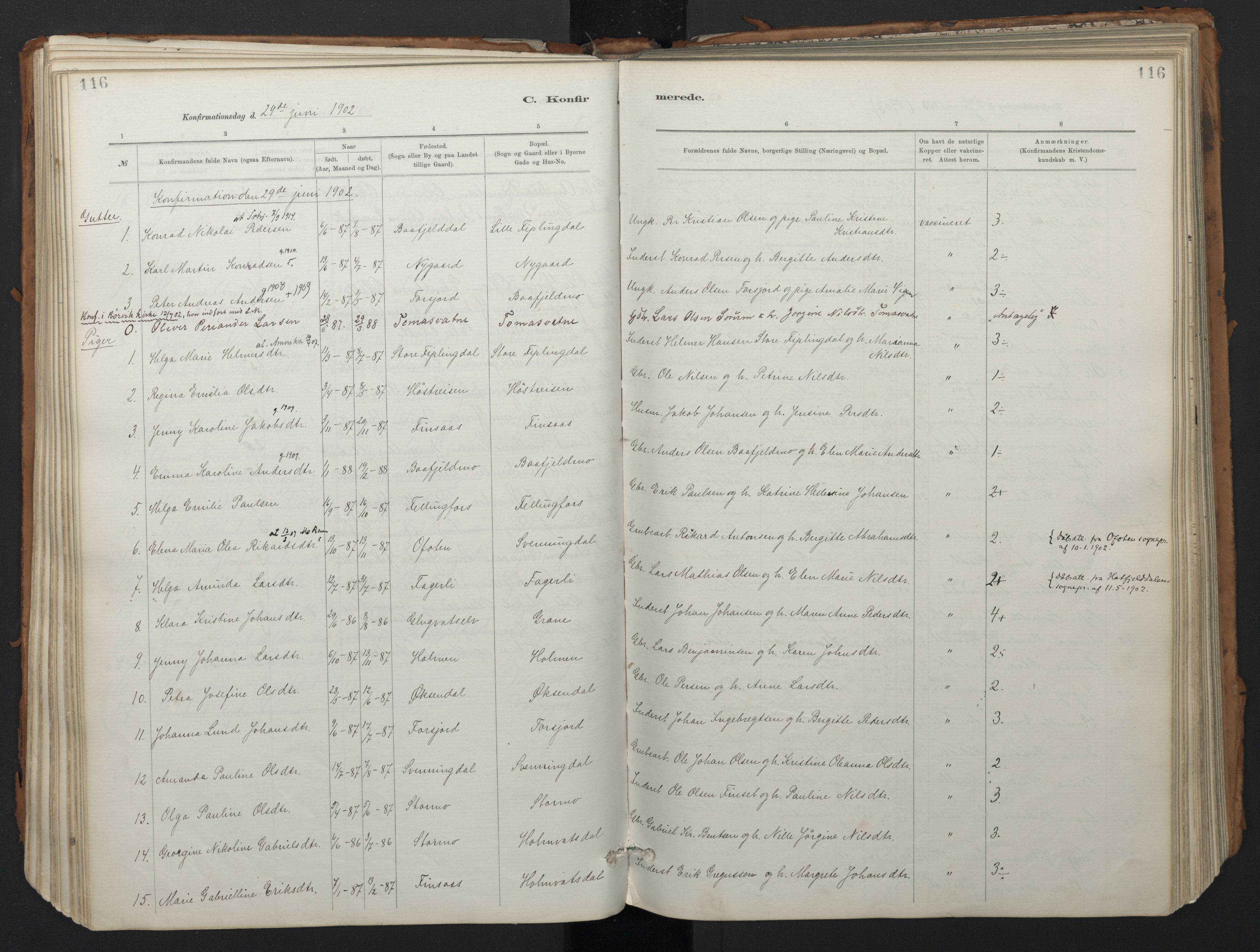 Ministerialprotokoller, klokkerbøker og fødselsregistre - Nordland, SAT/A-1459/824/L0338: Parish register (official) no. 824A01, 1880-1915, p. 116