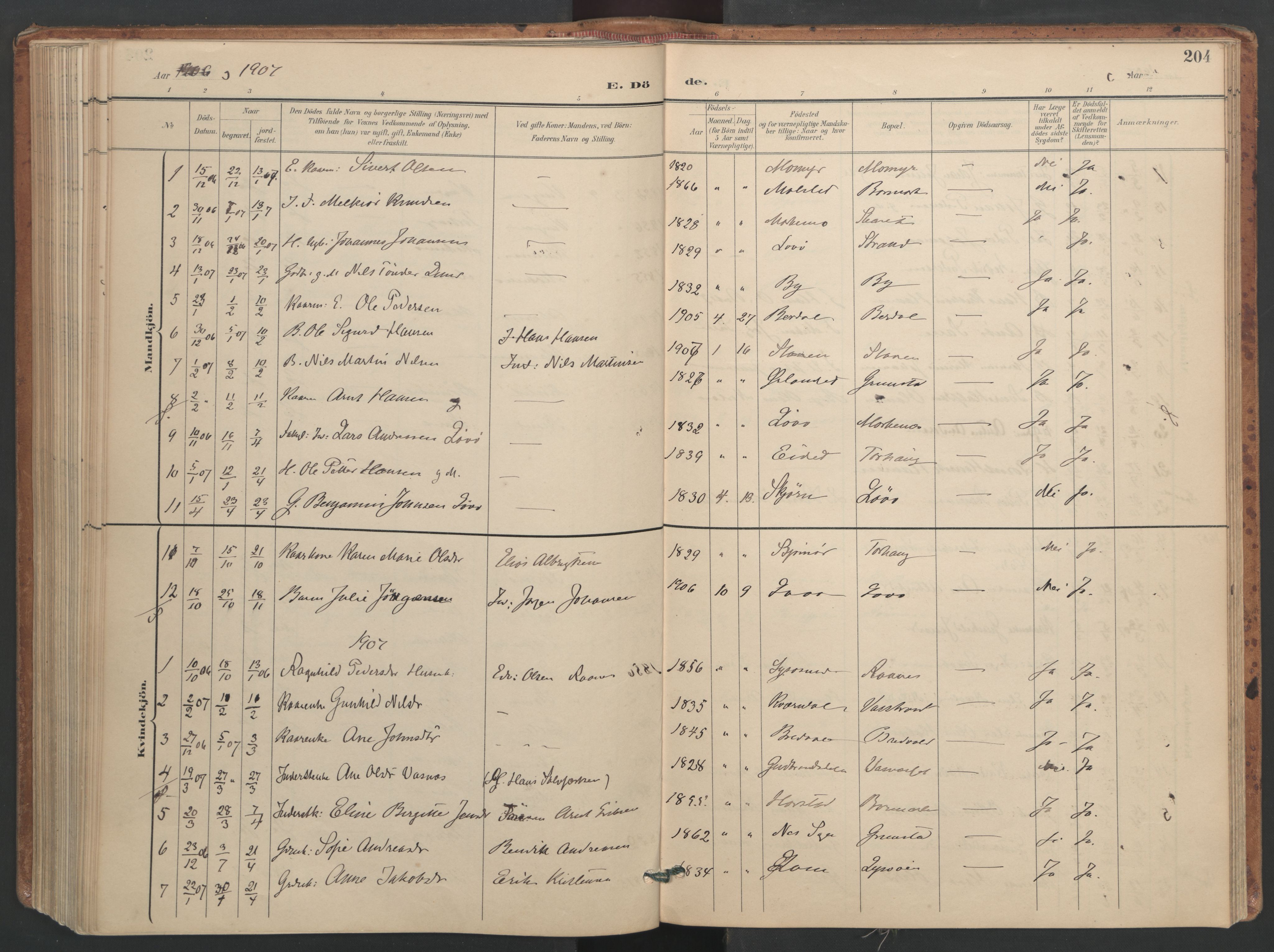 Ministerialprotokoller, klokkerbøker og fødselsregistre - Sør-Trøndelag, SAT/A-1456/655/L0681: Parish register (official) no. 655A10, 1895-1907, p. 204