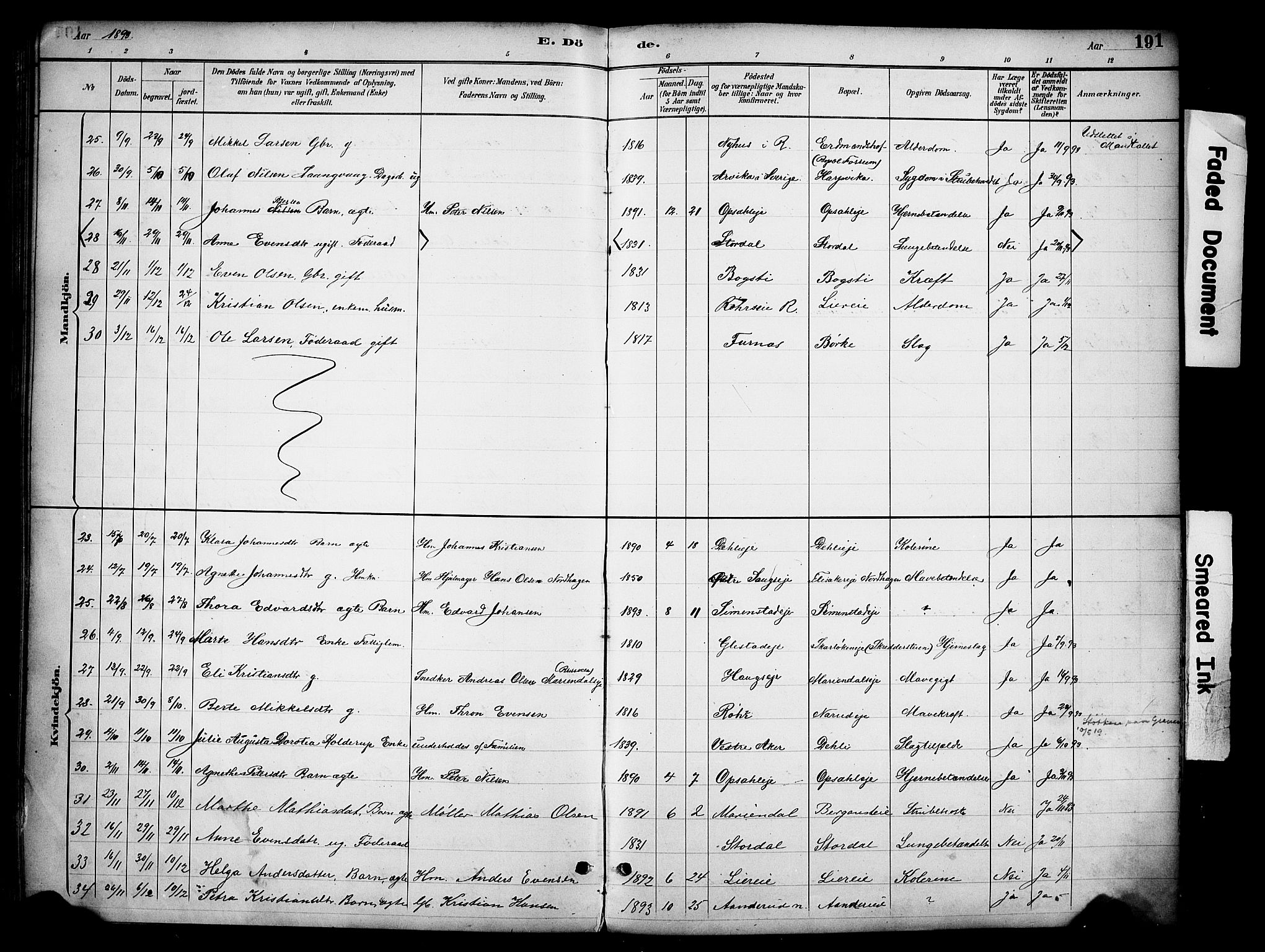 Ringsaker prestekontor, AV/SAH-PREST-014/K/Ka/L0016: Parish register (official) no. 16, 1891-1904, p. 191