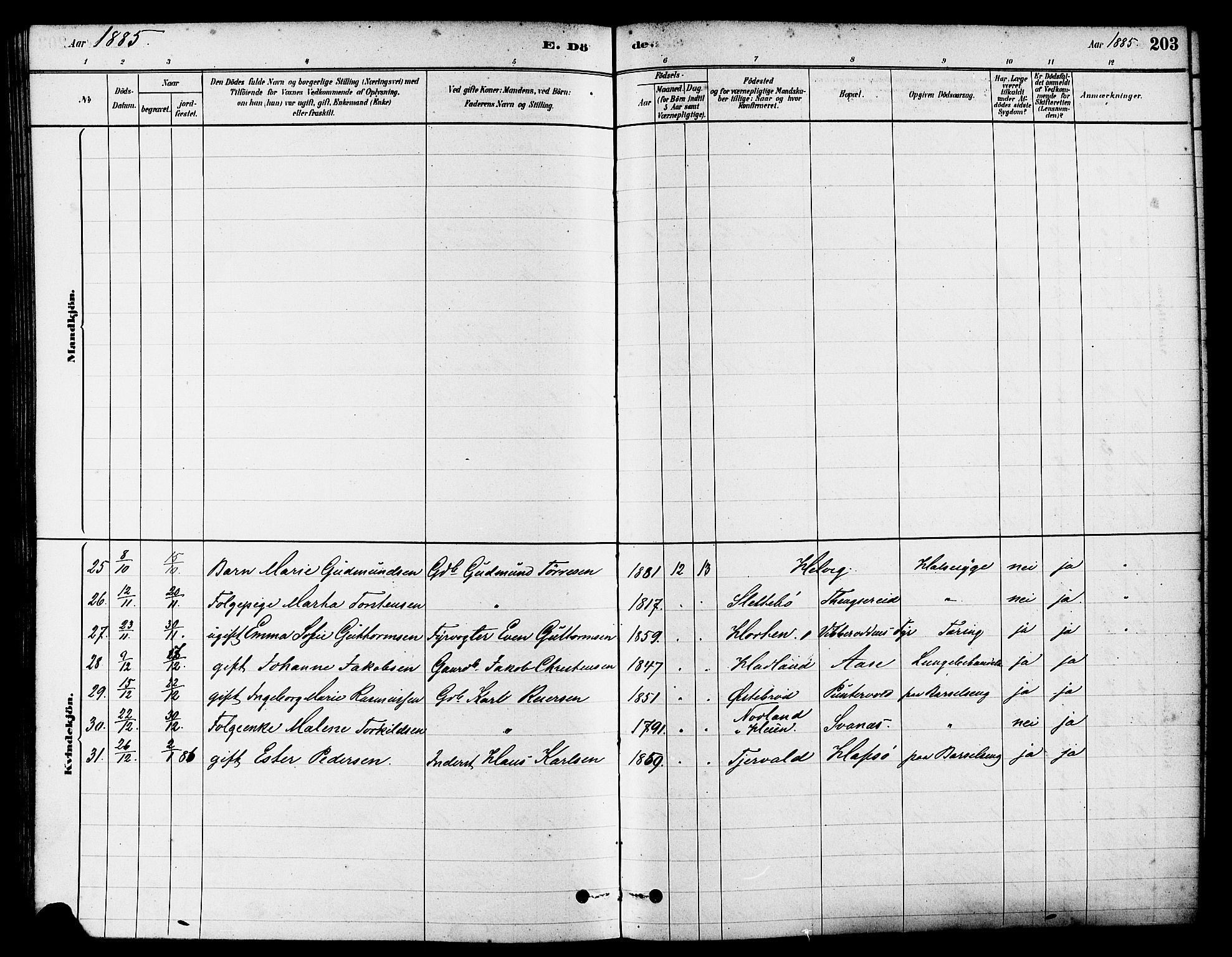 Eigersund sokneprestkontor, AV/SAST-A-101807/S08/L0017: Parish register (official) no. A 14, 1879-1892, p. 203