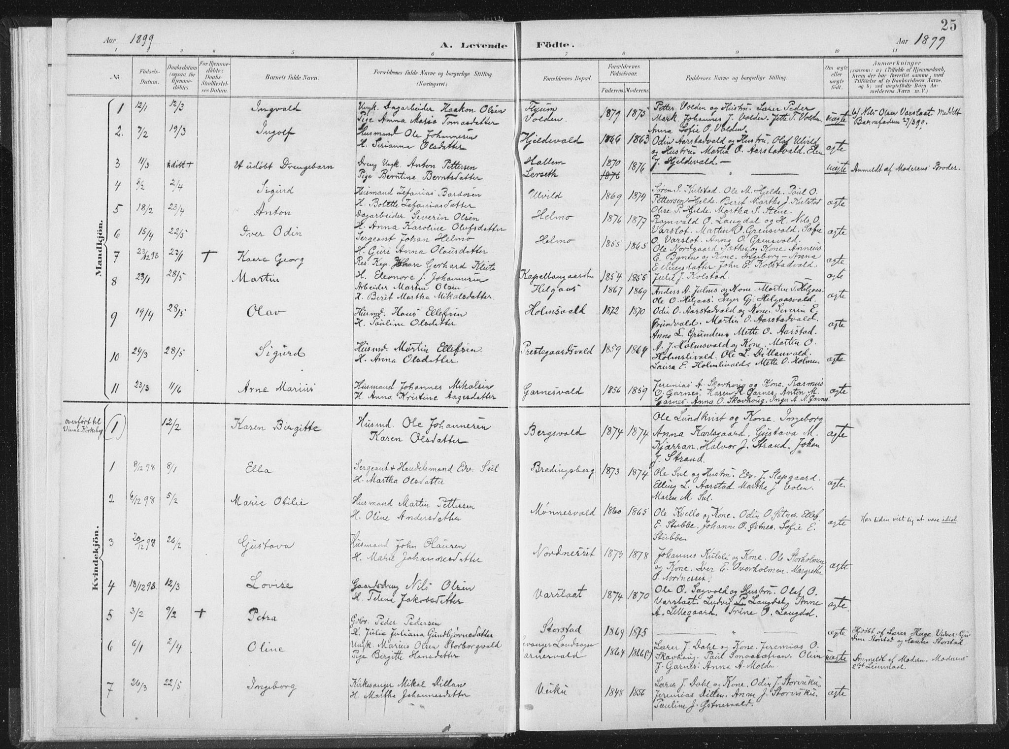 Ministerialprotokoller, klokkerbøker og fødselsregistre - Nord-Trøndelag, SAT/A-1458/724/L0263: Parish register (official) no. 724A01, 1891-1907, p. 25