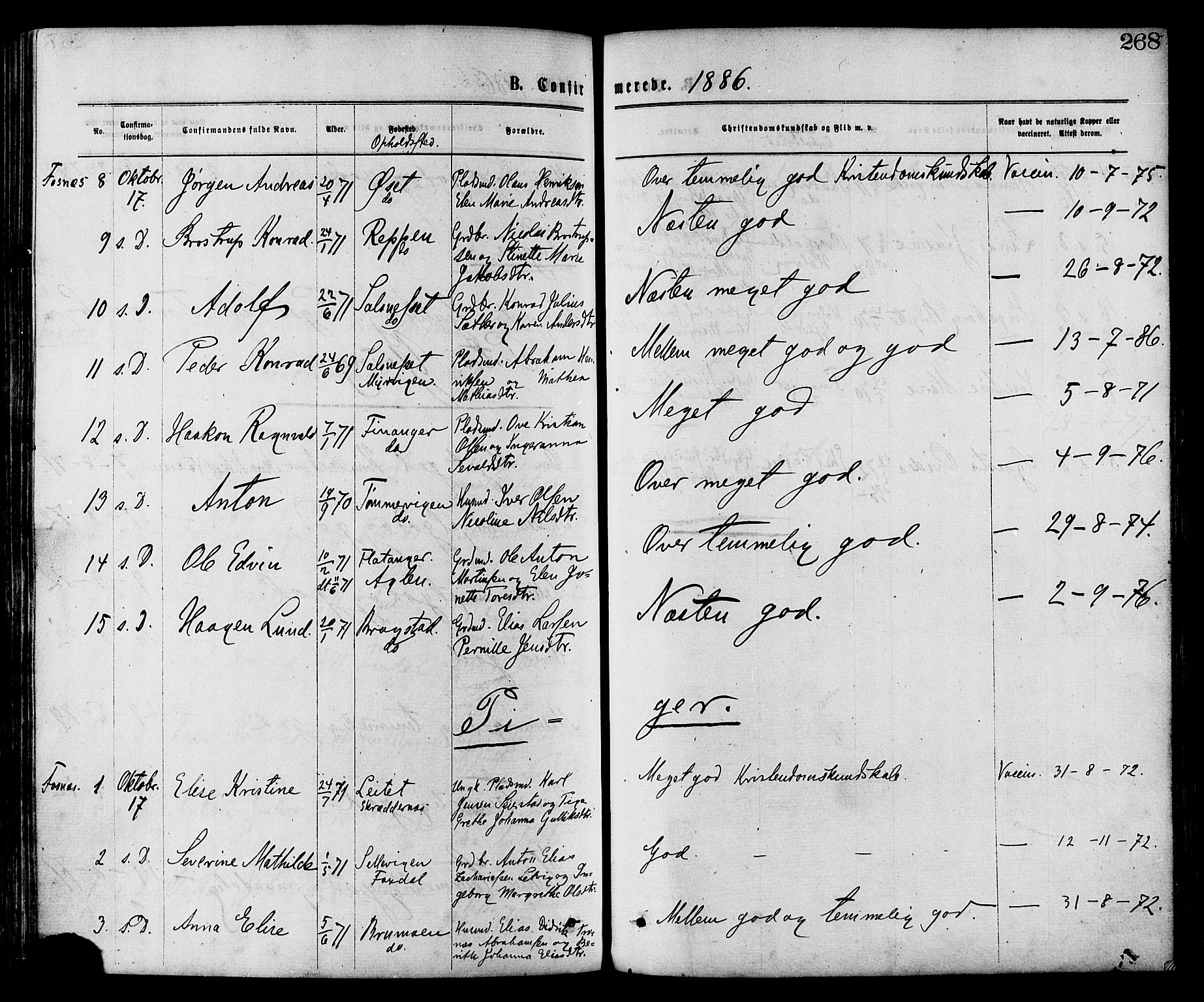 Ministerialprotokoller, klokkerbøker og fødselsregistre - Nord-Trøndelag, AV/SAT-A-1458/773/L0616: Parish register (official) no. 773A07, 1870-1887, p. 268