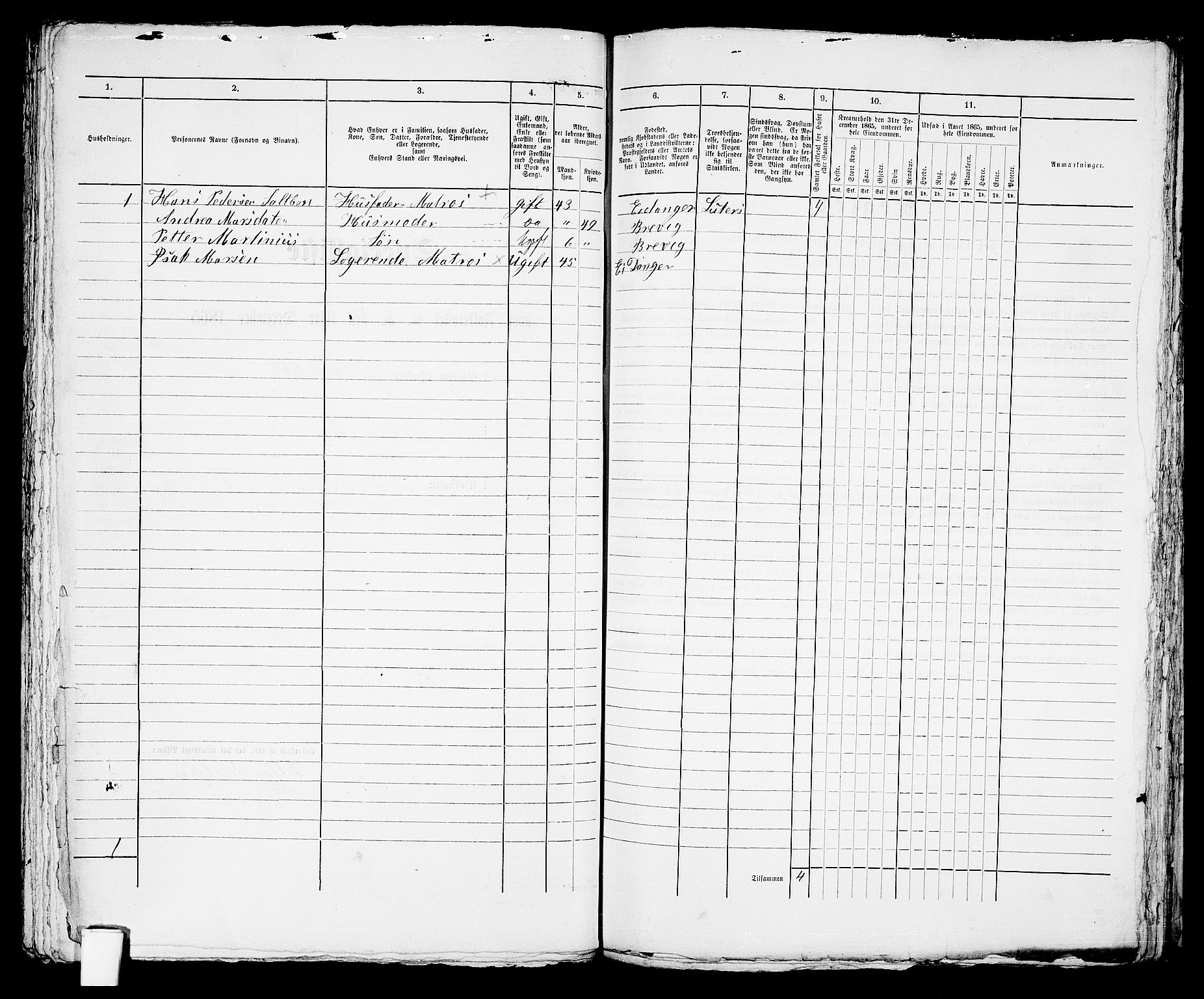 RA, 1865 census for Brevik, 1865, p. 263