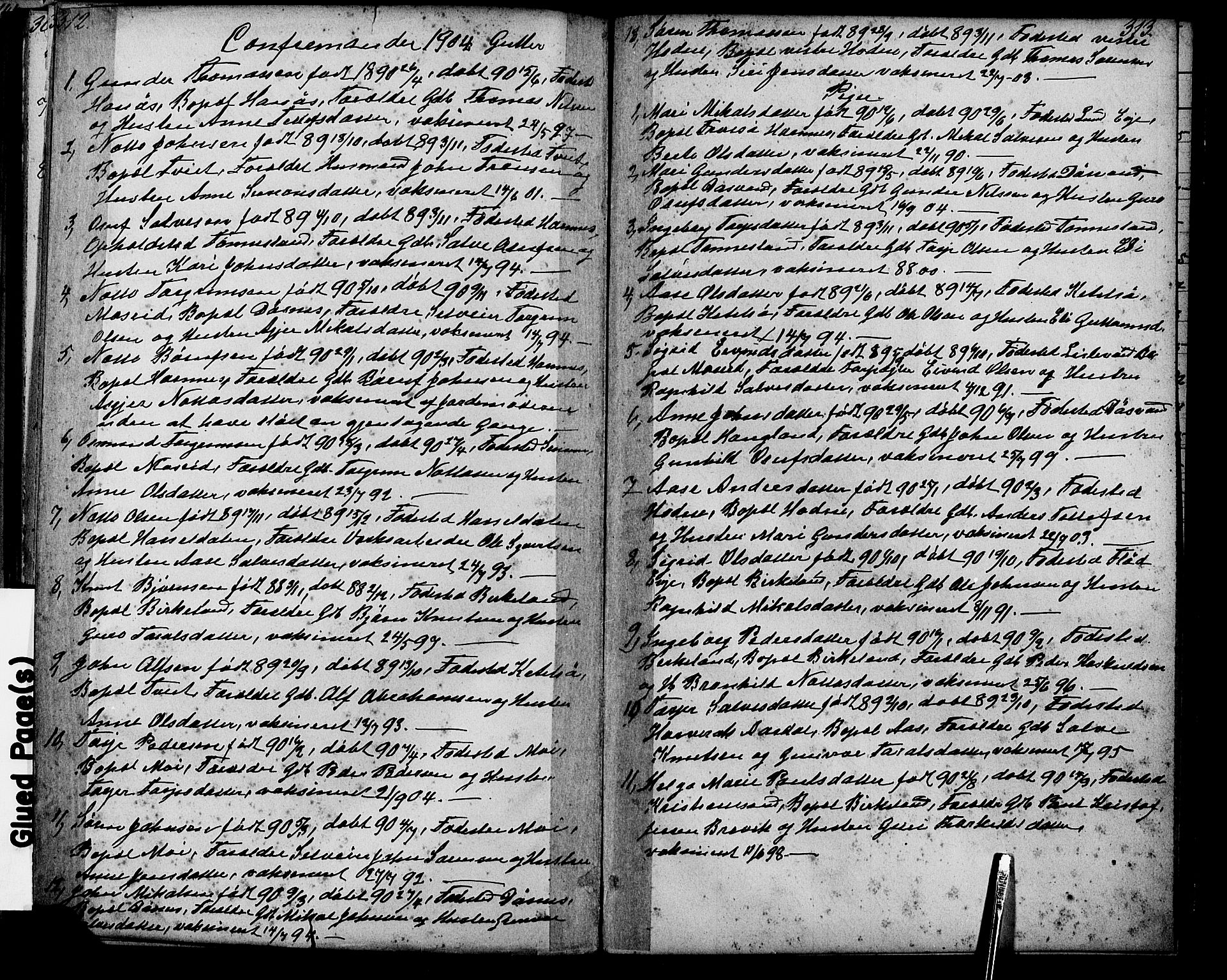 Evje sokneprestkontor, AV/SAK-1111-0008/F/Fb/Fbb/L0002: Parish register (copy) no. B 2, 1879-1909, p. 312-313