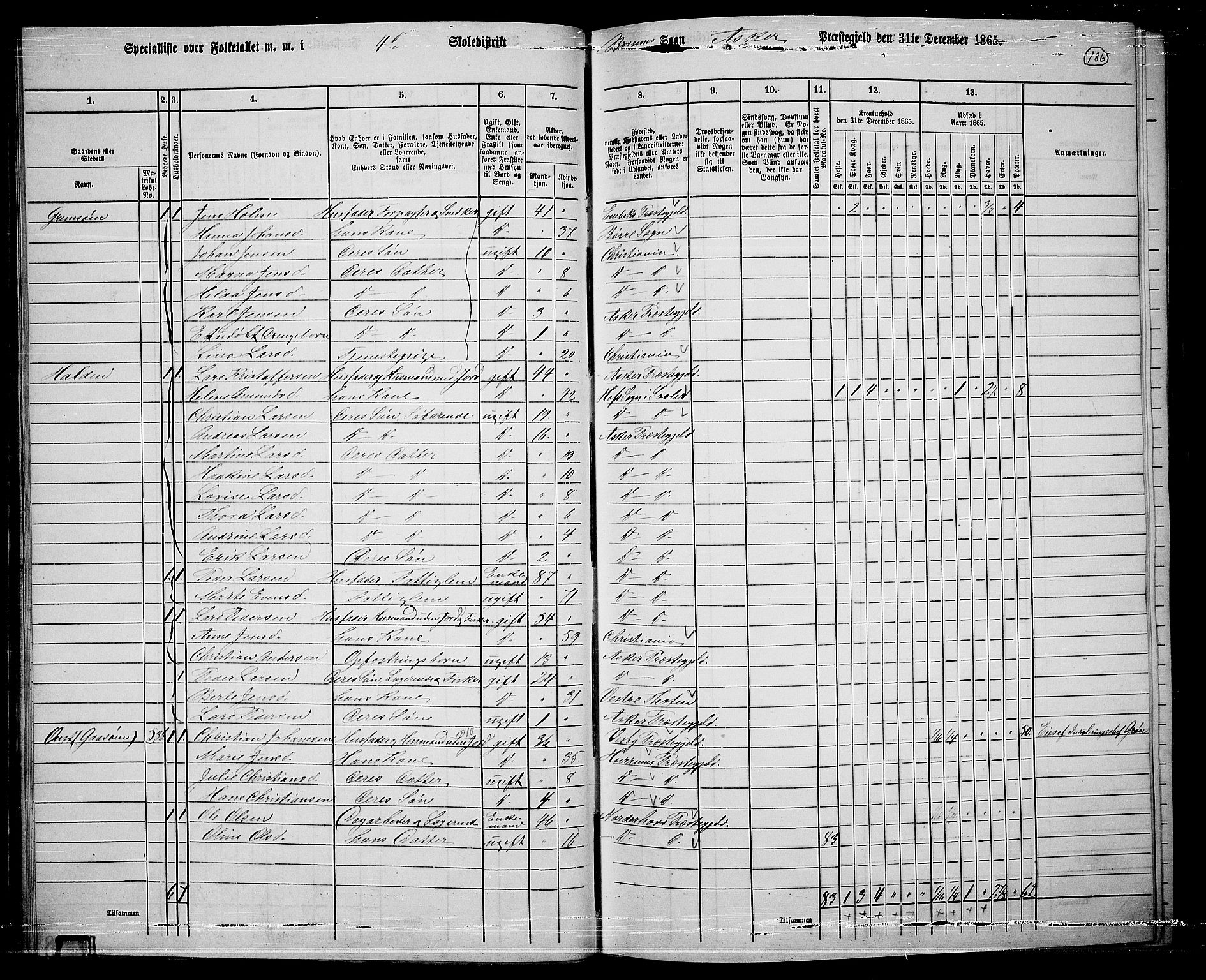 RA, 1865 census for Asker, 1865, p. 183