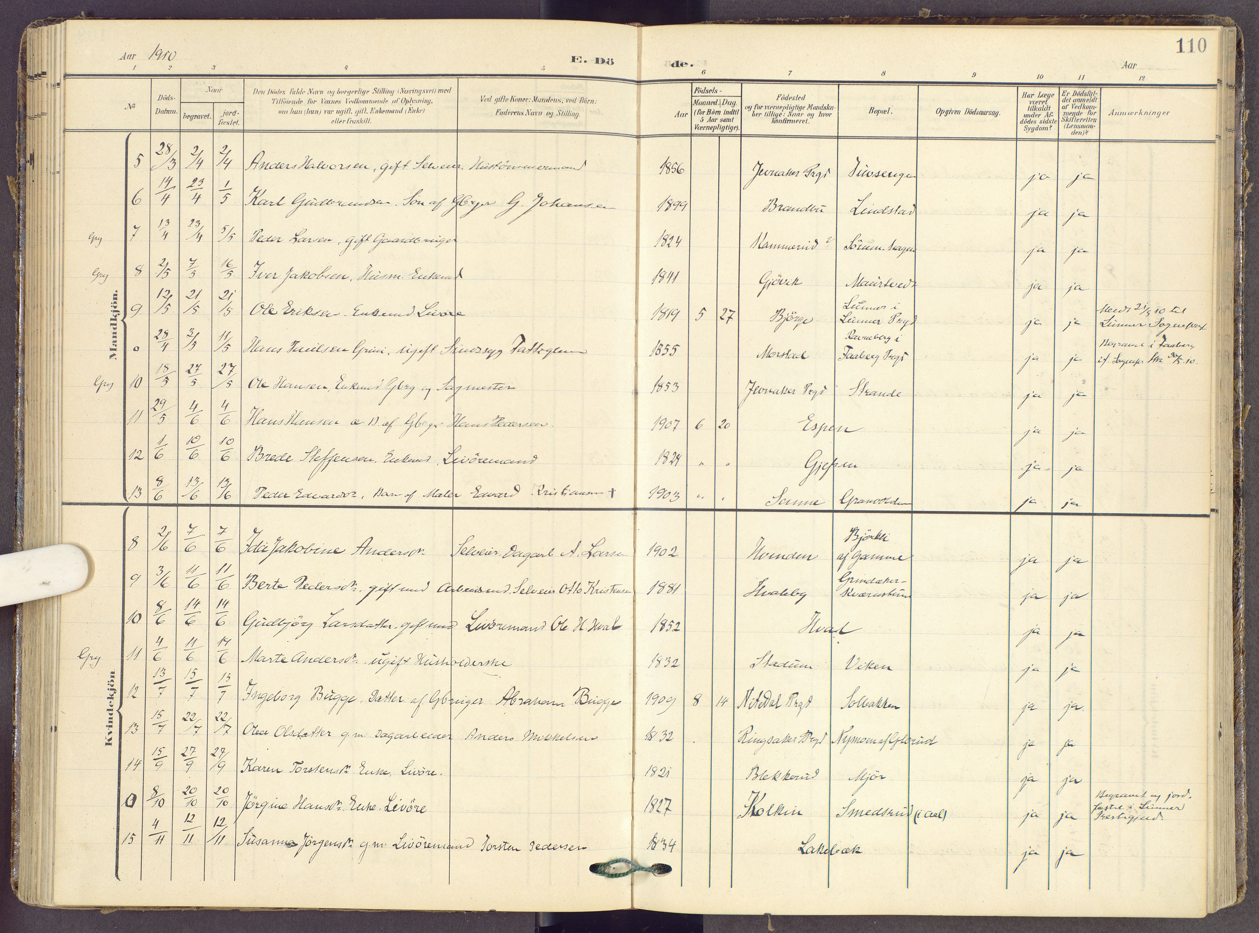 Gran prestekontor, SAH/PREST-112/H/Ha/Haa/L0022: Parish register (official) no. 22, 1908-1918, p. 110
