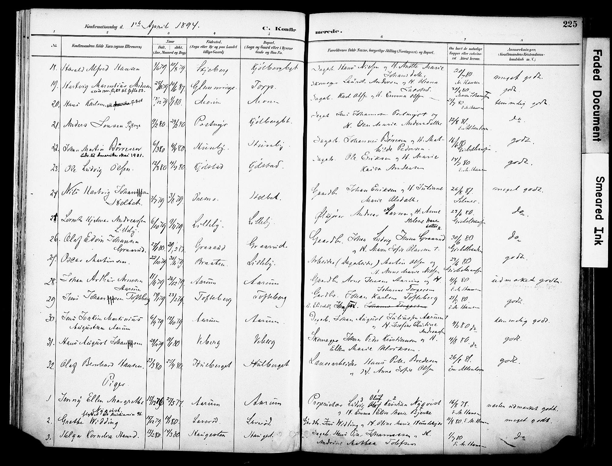 Borge prestekontor Kirkebøker, AV/SAO-A-10903/F/Fa/L0008: Parish register (official) no. I 8B, 1887-1902, p. 225