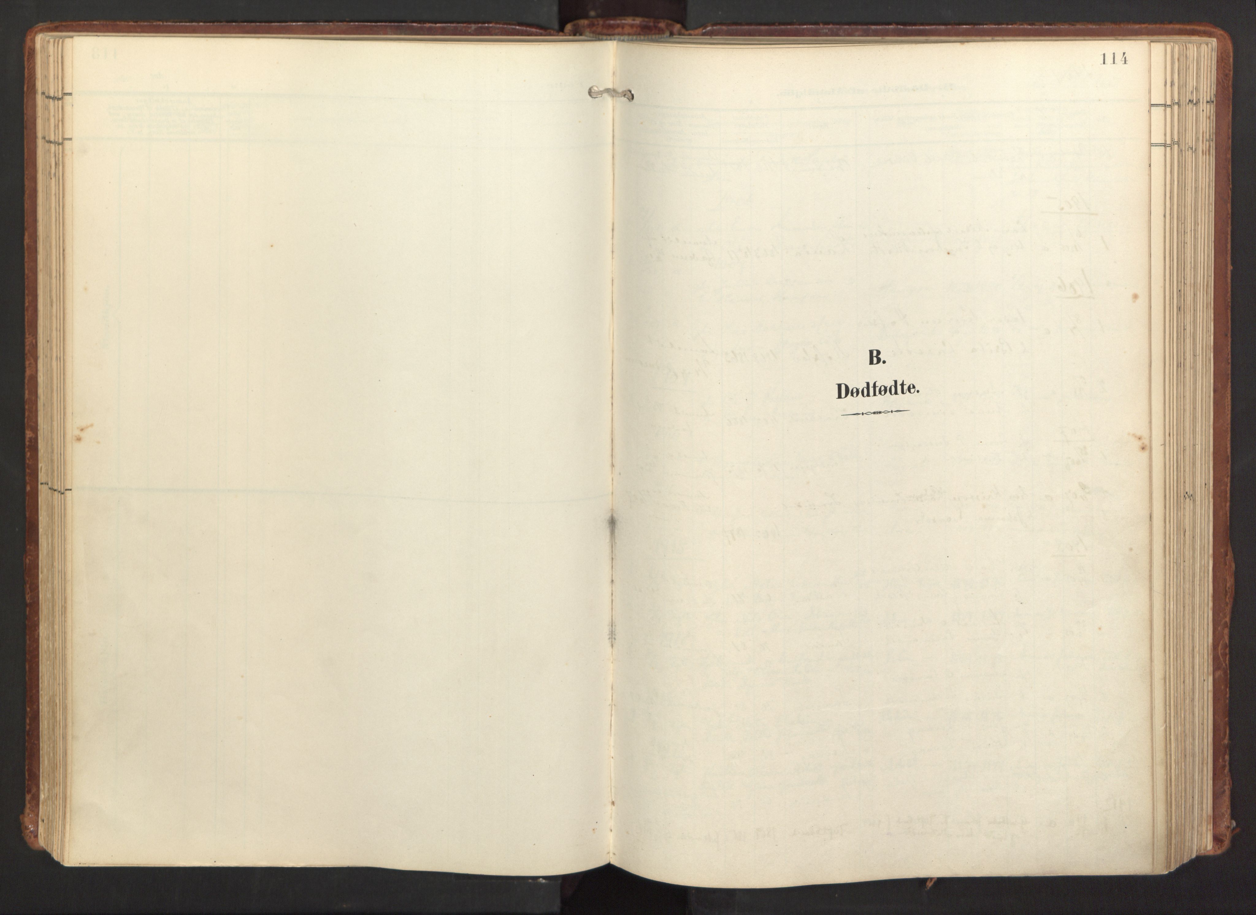 Fitjar sokneprestembete, SAB/A-99926: Parish register (official) no. A 3, 1900-1918, p. 114