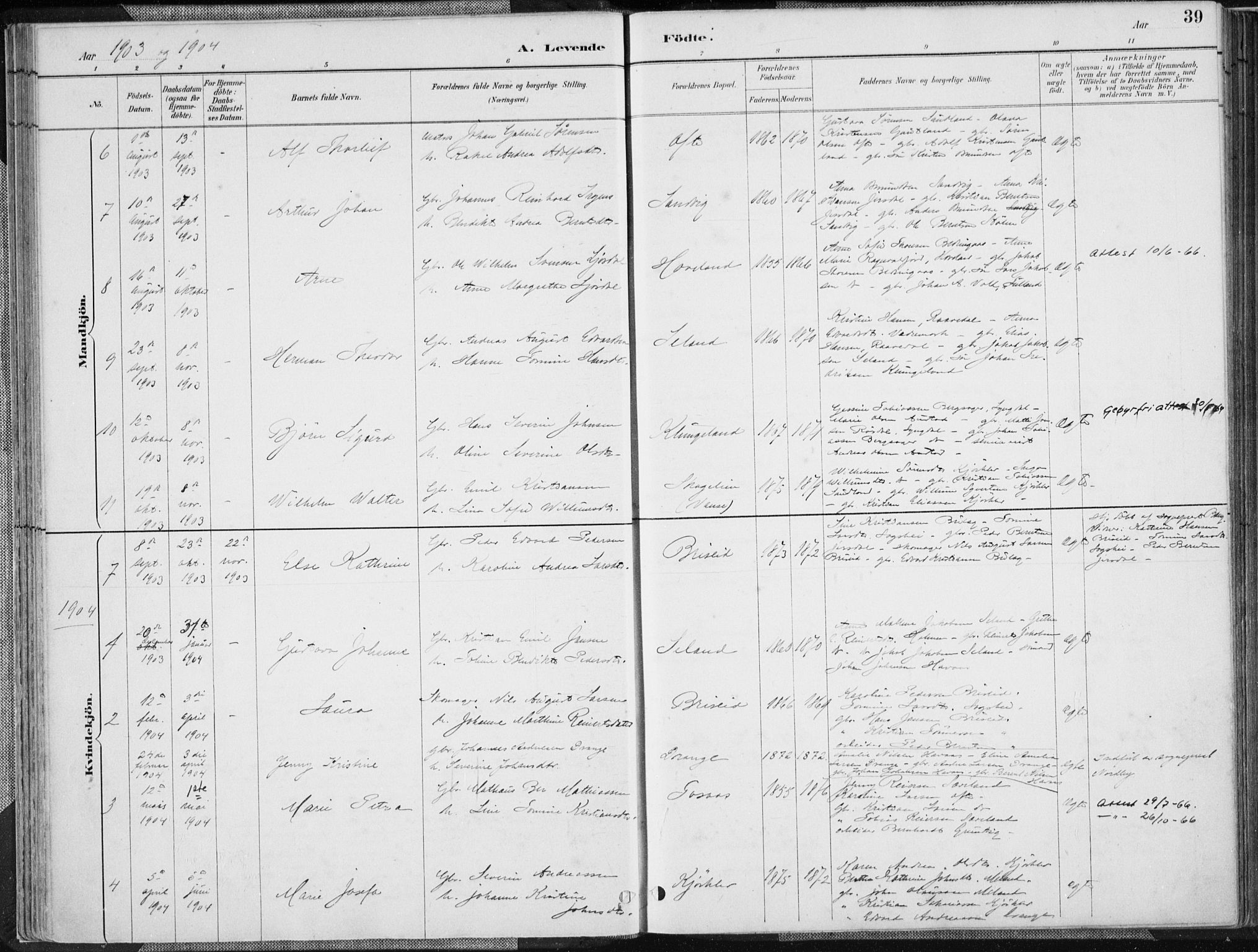 Herad sokneprestkontor, AV/SAK-1111-0018/F/Fa/Faa/L0006: Parish register (official) no. A 6, 1887-1907, p. 39