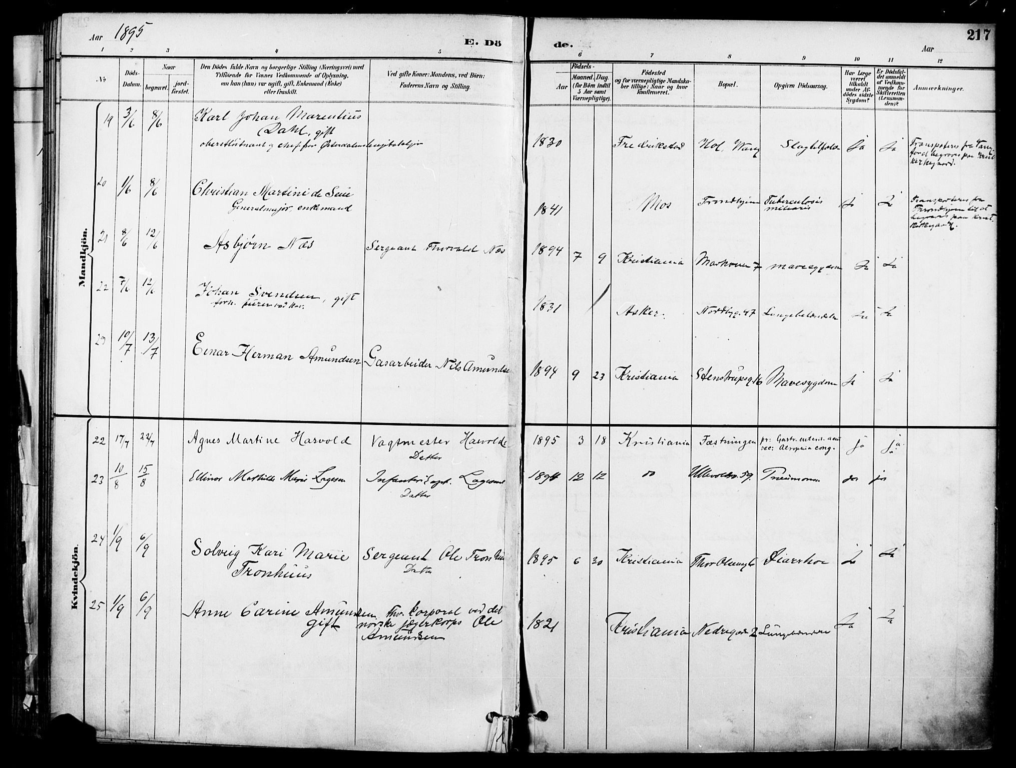 Garnisonsmenigheten Kirkebøker, AV/SAO-A-10846/F/Fa/L0013: Parish register (official) no. 13, 1894-1904, p. 217