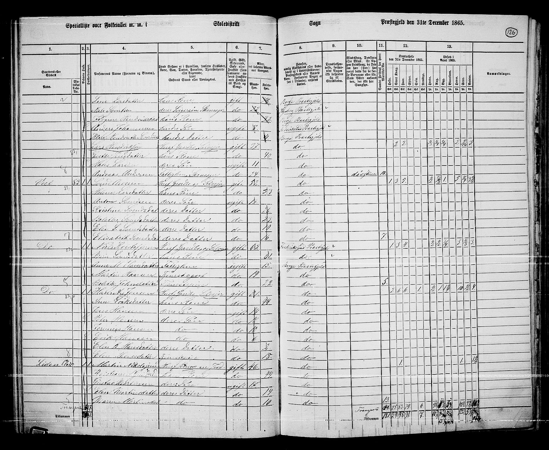 RA, 1865 census for Borge, 1865, p. 115