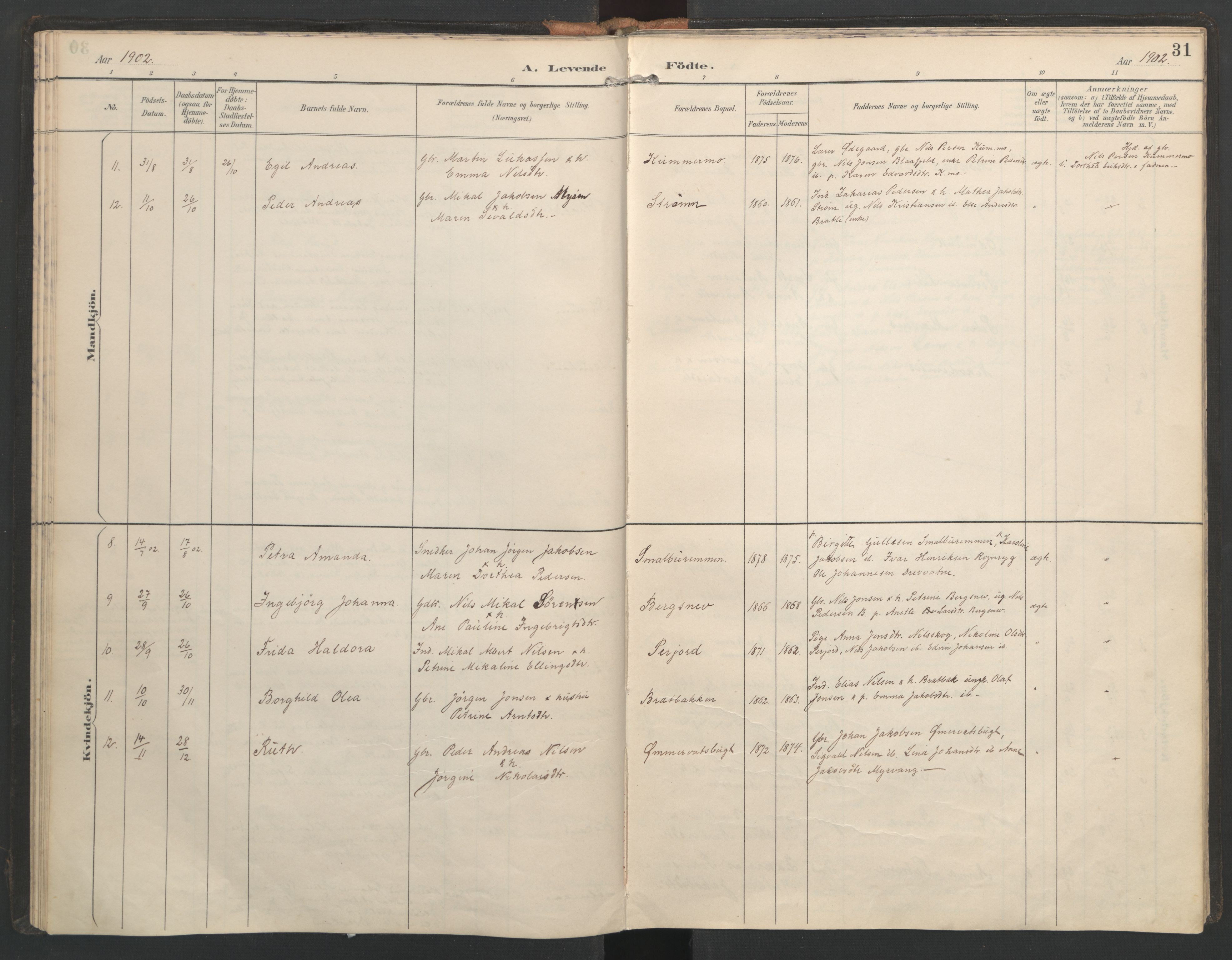 Ministerialprotokoller, klokkerbøker og fødselsregistre - Nordland, SAT/A-1459/821/L0317: Parish register (official) no. 821A01, 1892-1907, p. 31