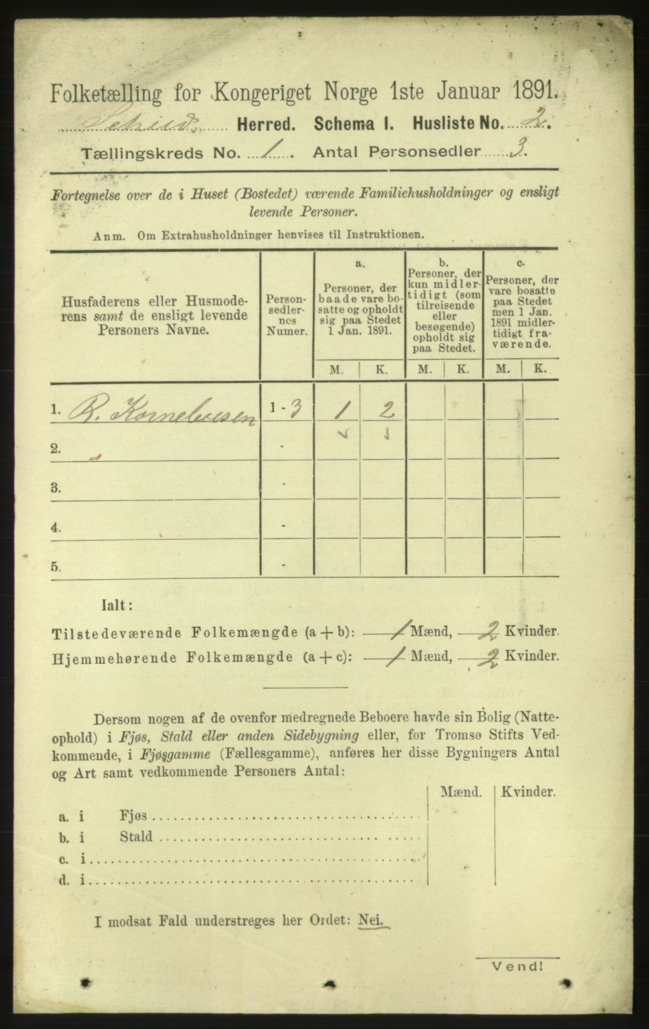 RA, 1891 census for 1732 Skei, 1891, p. 19