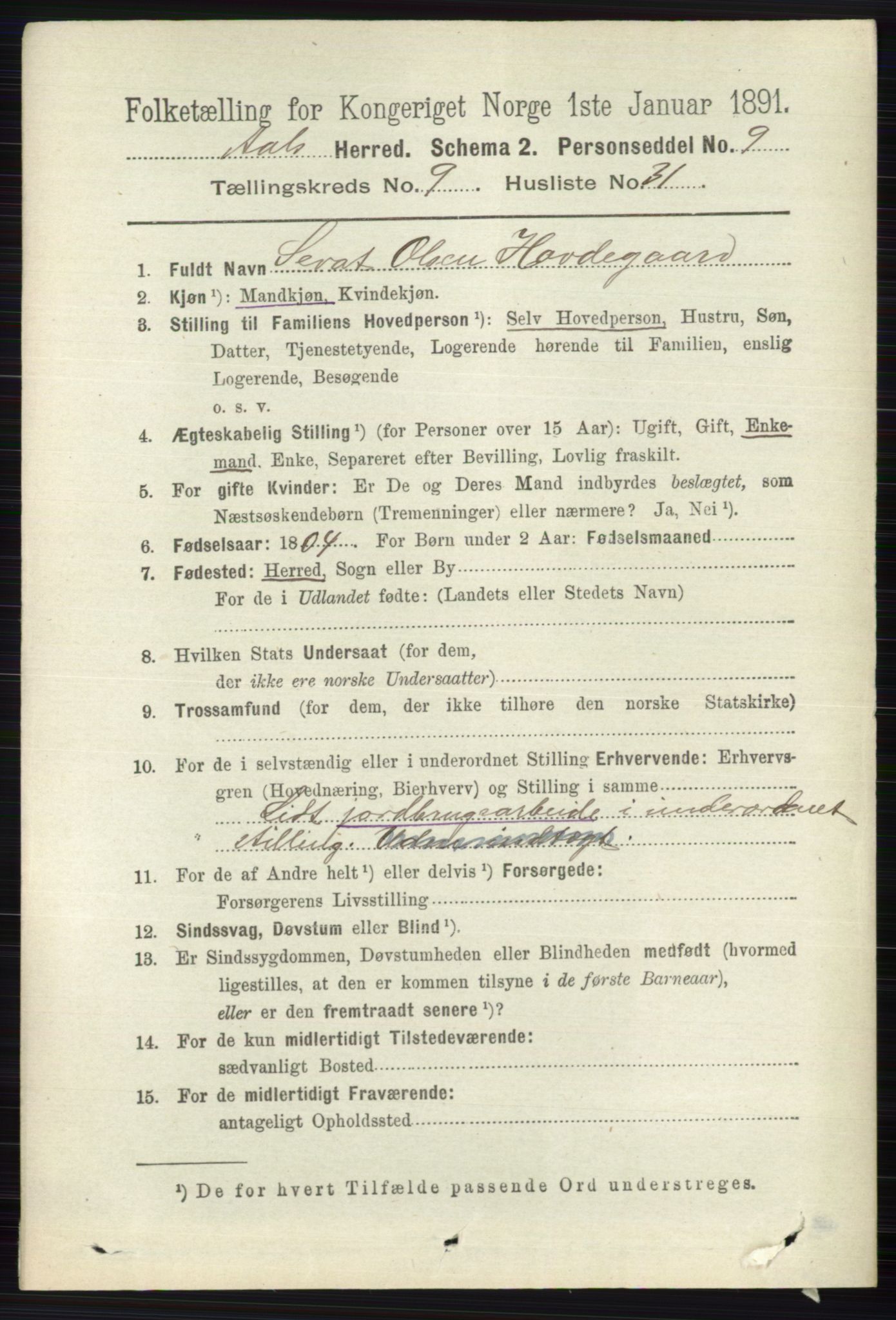 RA, 1891 census for 0619 Ål, 1891, p. 2659