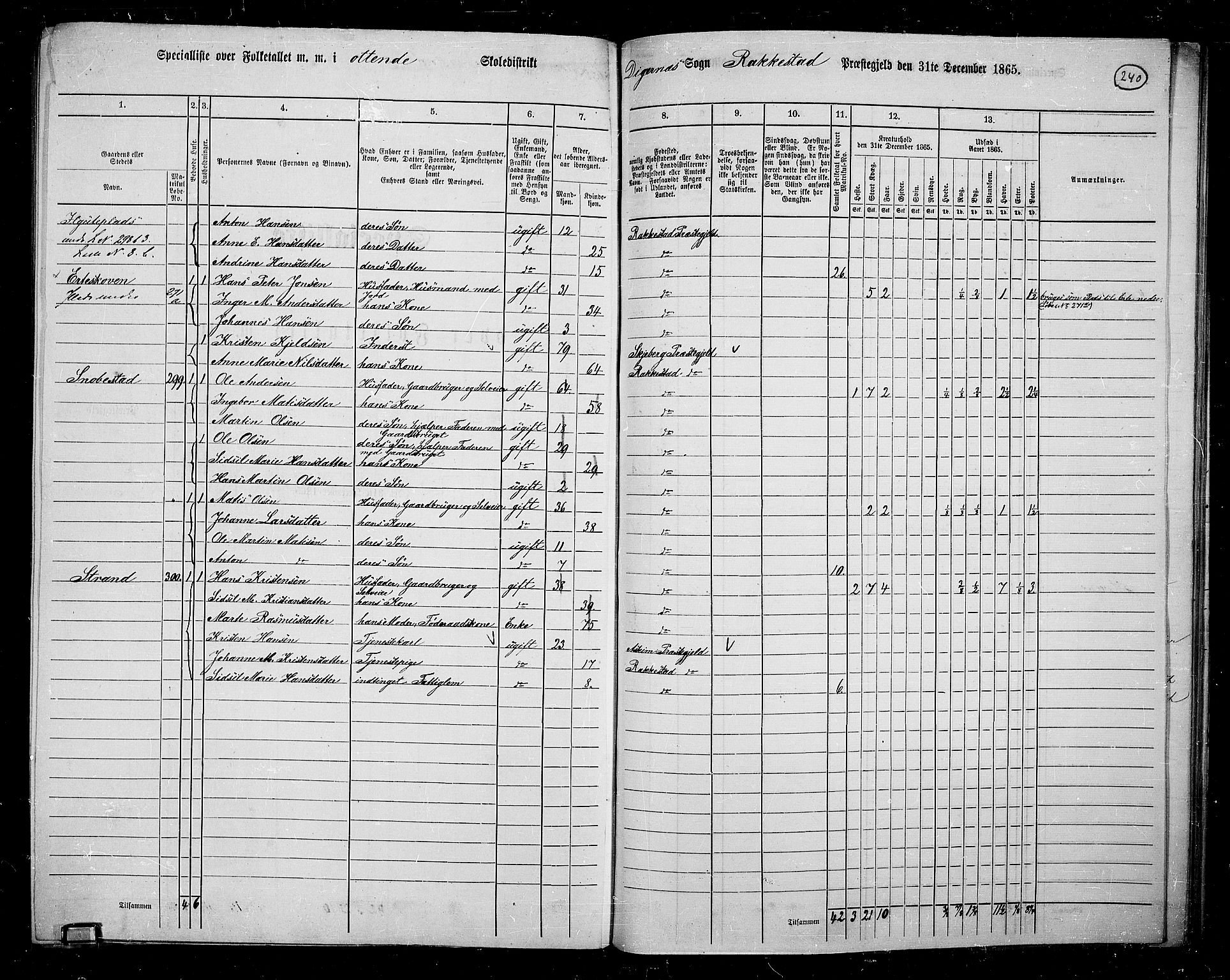 RA, 1865 census for Rakkestad, 1865, p. 231