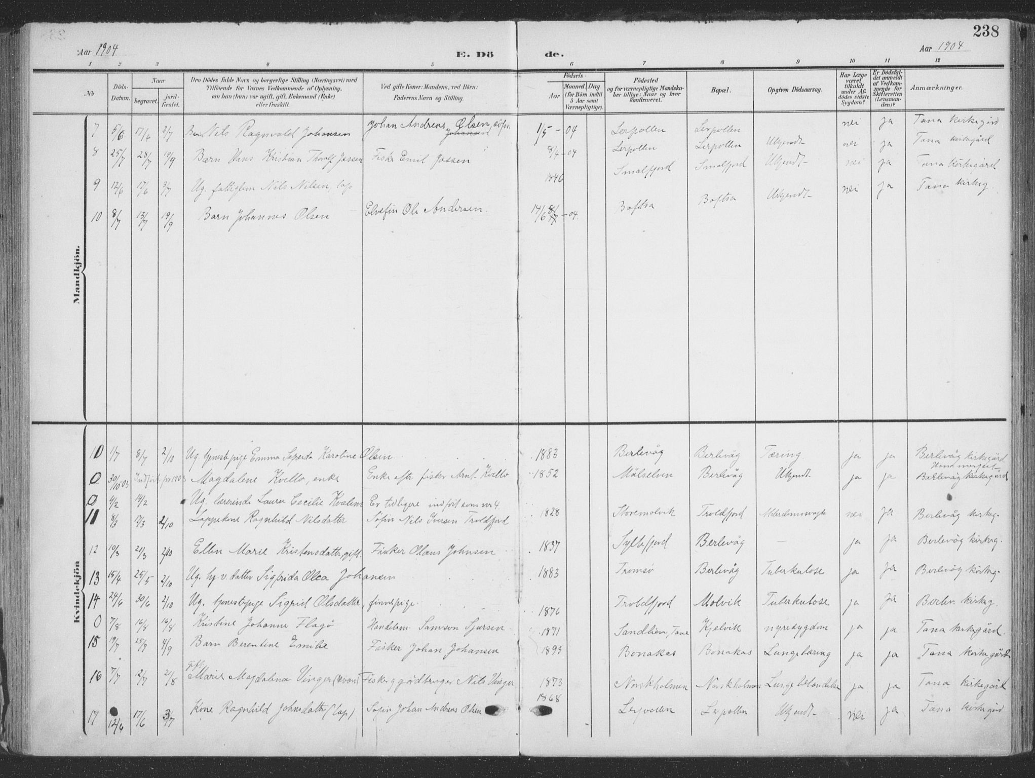 Tana sokneprestkontor, AV/SATØ-S-1334/H/Ha/L0007kirke: Parish register (official) no. 7, 1904-1918, p. 238