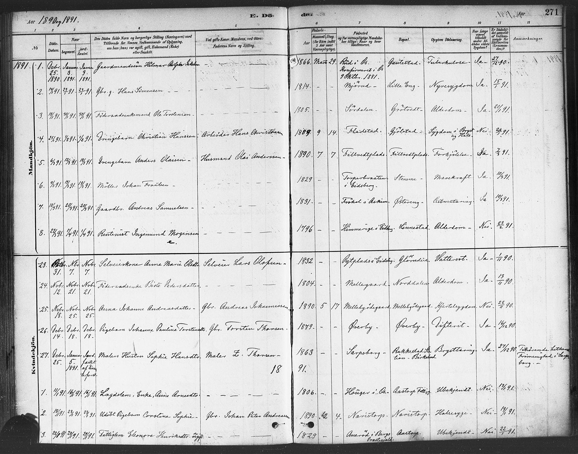 Rakkestad prestekontor Kirkebøker, AV/SAO-A-2008/F/Fa/L0012: Parish register (official) no. I 12, 1878-1893, p. 271