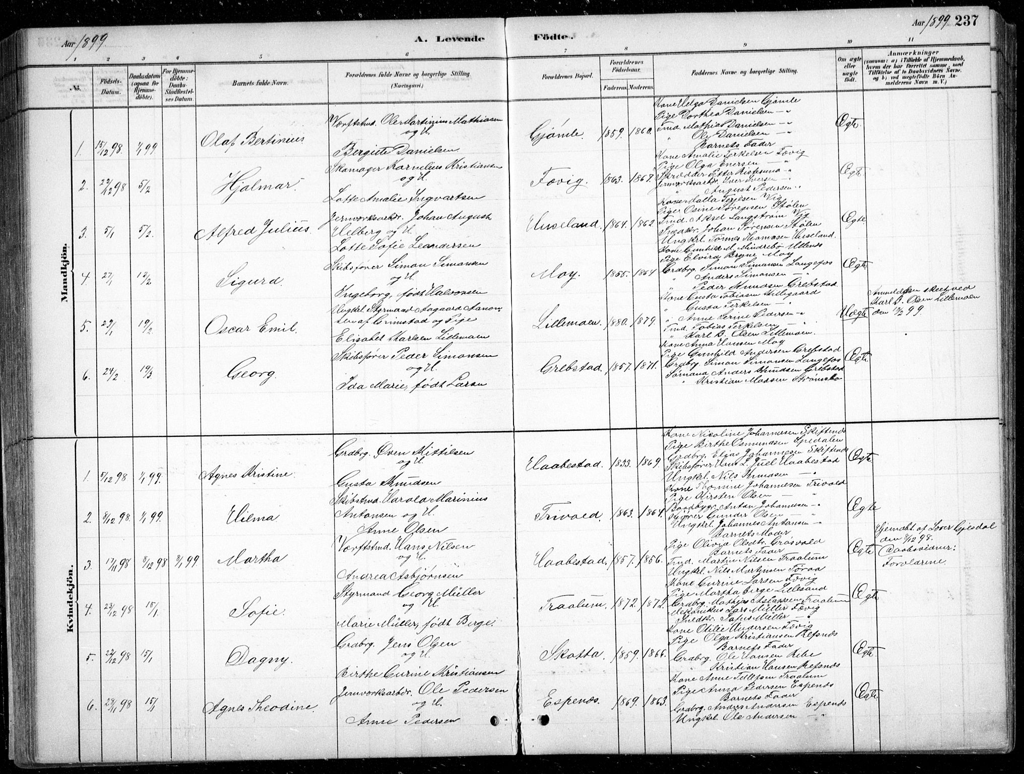 Fjære sokneprestkontor, SAK/1111-0011/F/Fb/L0011: Parish register (copy) no. B 11, 1881-1905, p. 237