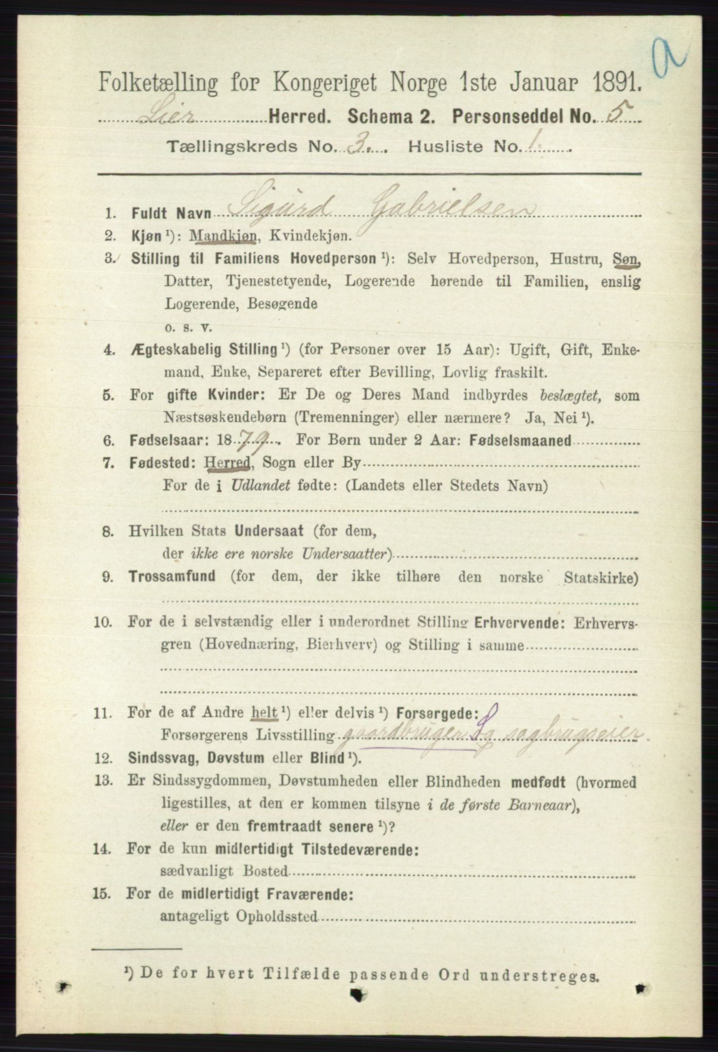 RA, 1891 census for 0626 Lier, 1891, p. 2498