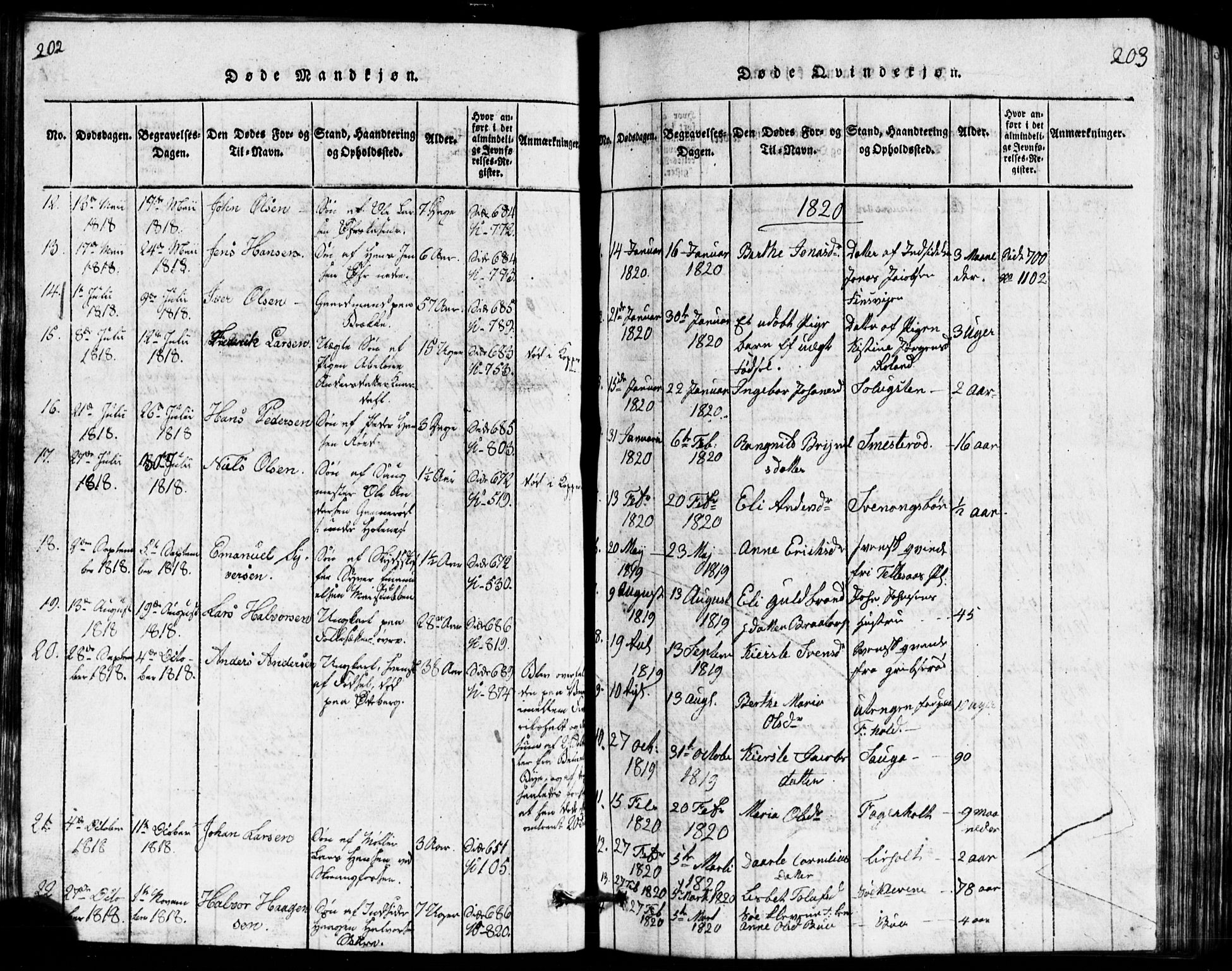 Idd prestekontor Kirkebøker, AV/SAO-A-10911/G/Ga/L0001: Parish register (copy) no. I 1, 1815-1826, p. 202-203