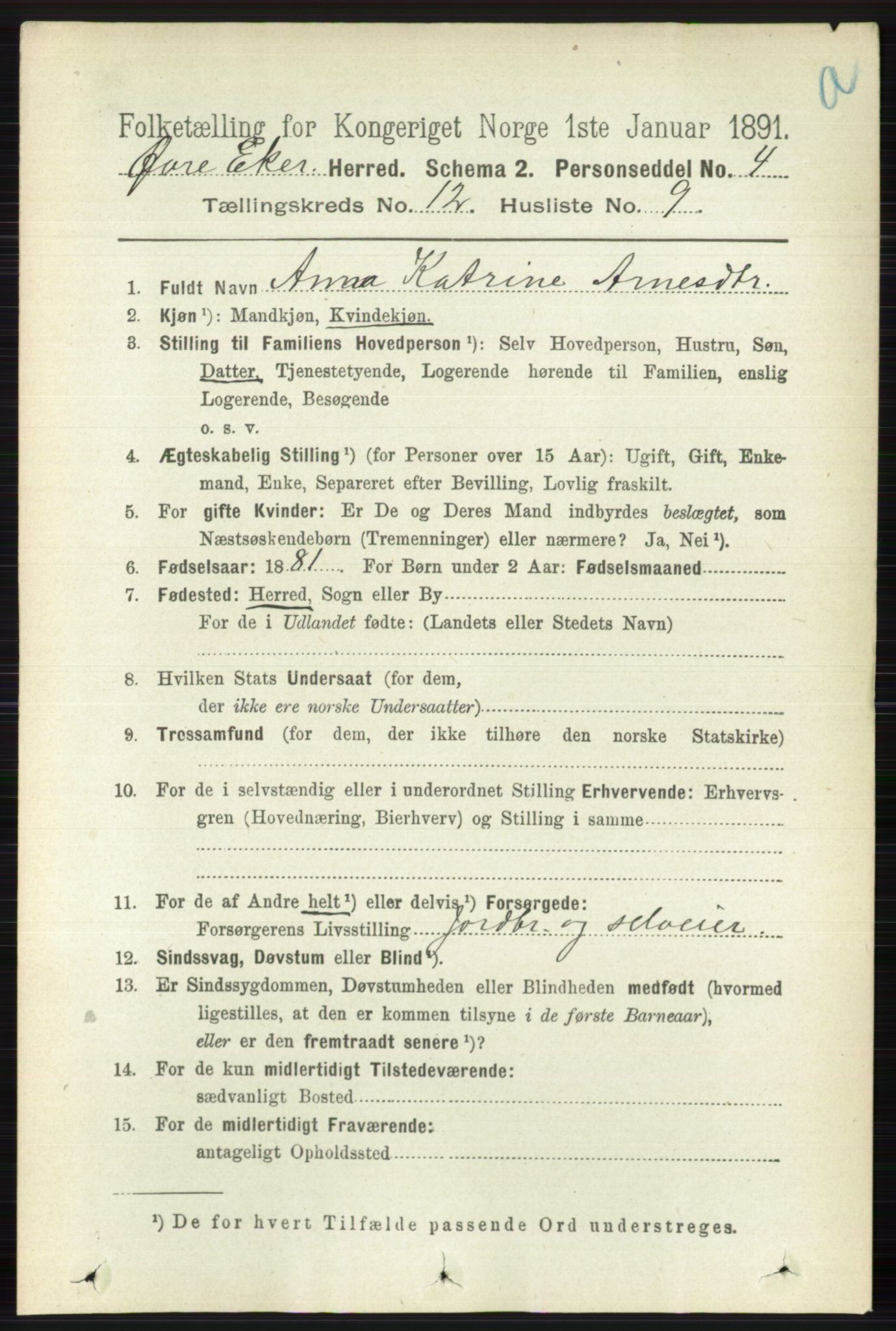 RA, 1891 census for 0624 Øvre Eiker, 1891, p. 5335