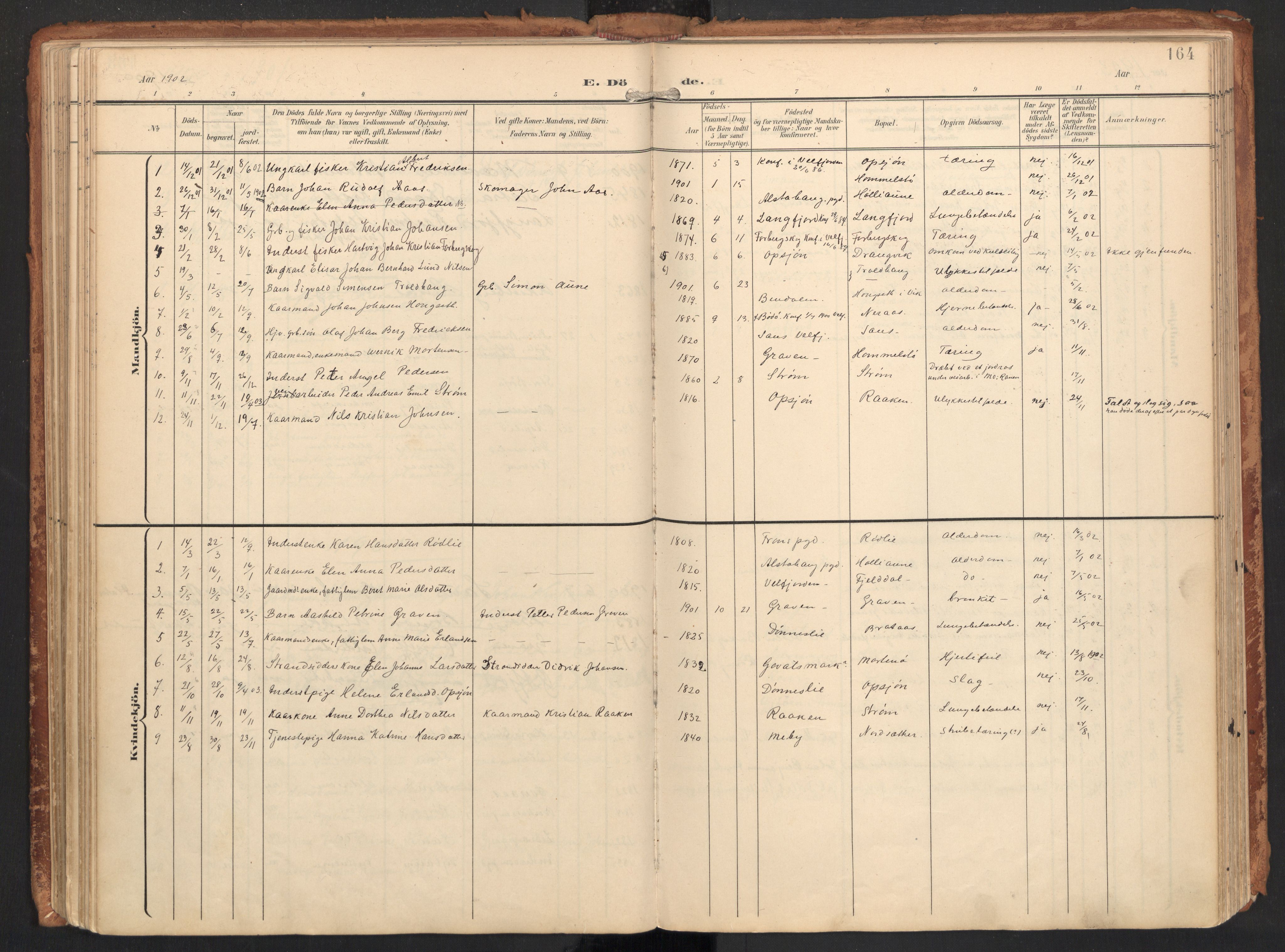 Ministerialprotokoller, klokkerbøker og fødselsregistre - Nordland, SAT/A-1459/814/L0227: Parish register (official) no. 814A08, 1899-1920, p. 164