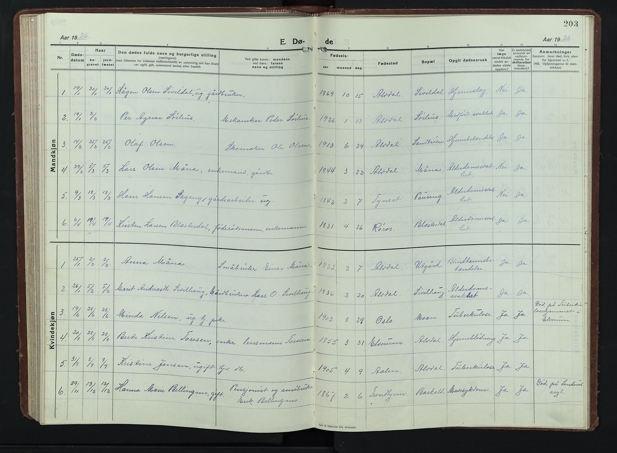 Alvdal prestekontor, SAH/PREST-060/H/Ha/Hab/L0007: Parish register (copy) no. 7, 1924-1945, p. 203