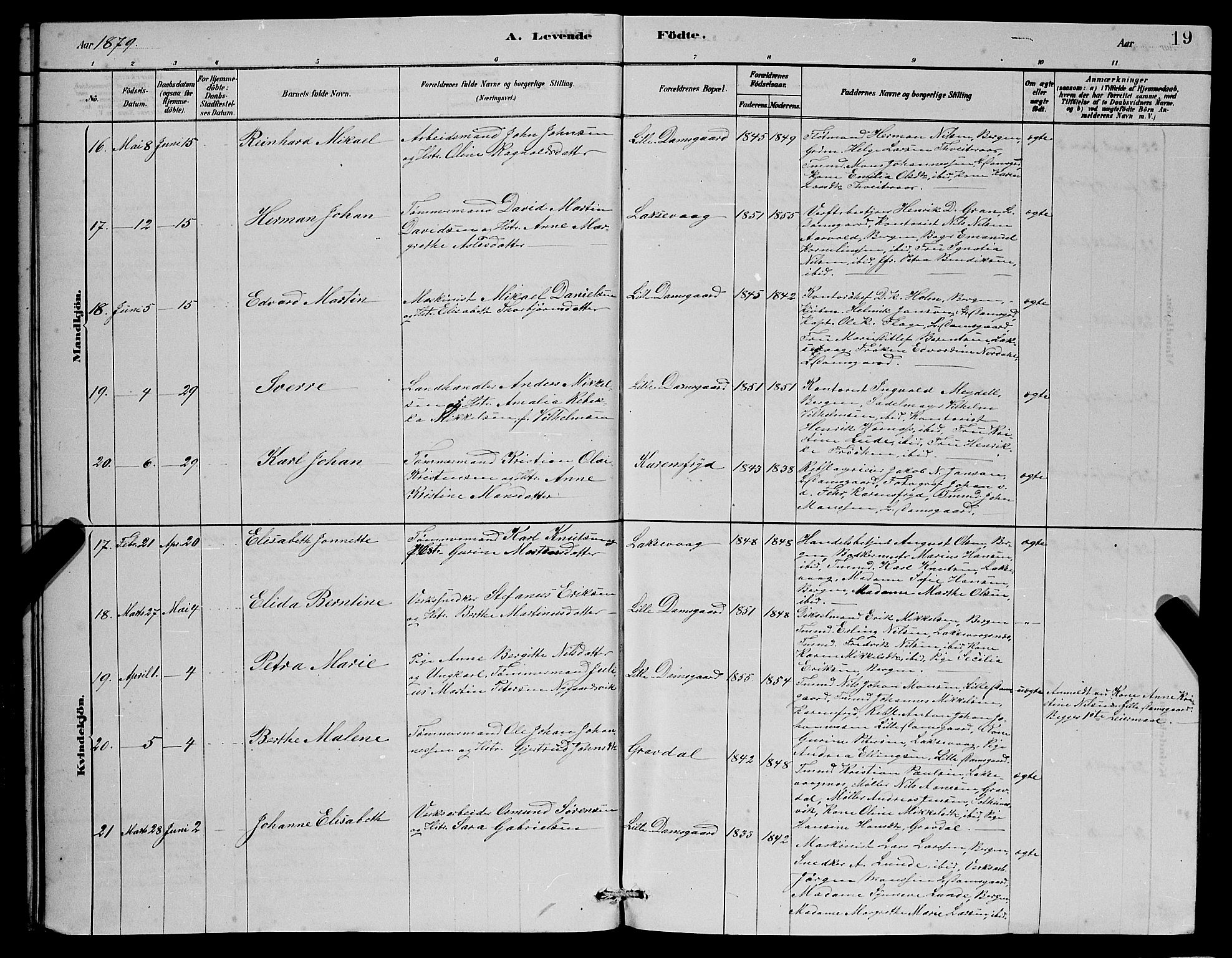 Laksevåg Sokneprestembete, SAB/A-76501/H/Ha/Hab/Haba/L0002: Parish register (copy) no. A 2, 1877-1887, p. 19