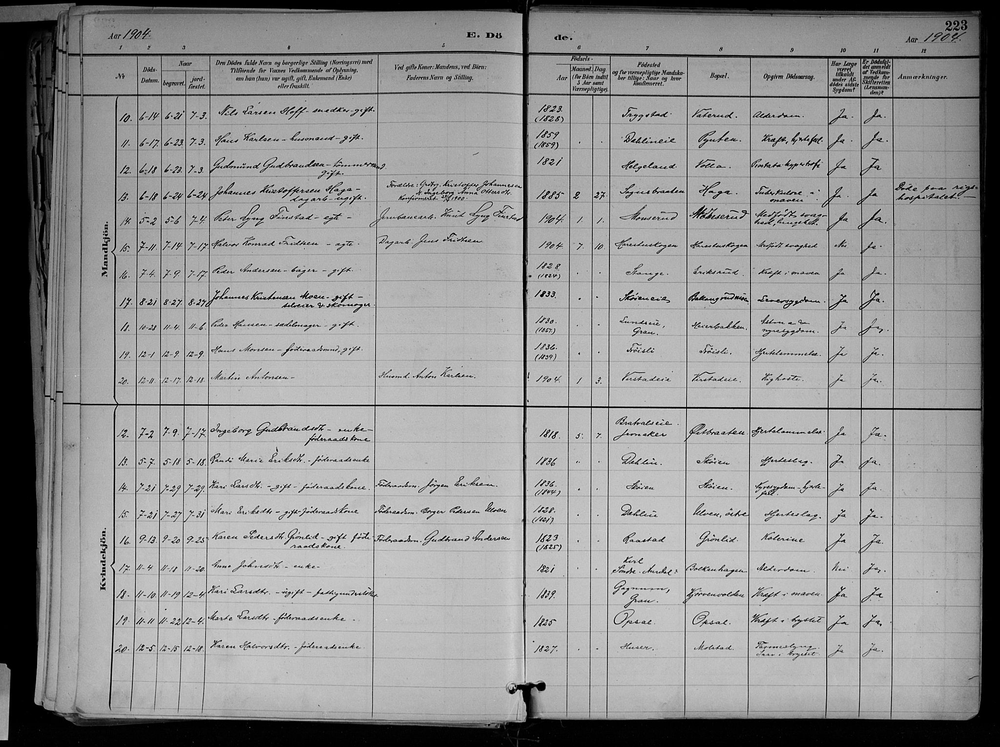 Jevnaker prestekontor, SAH/PREST-116/H/Ha/Haa/L0010: Parish register (official) no. 10, 1891-1906, p. 223