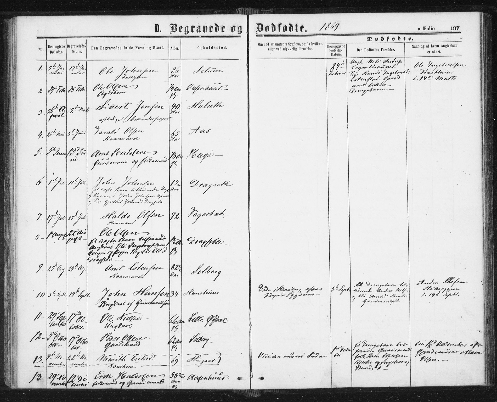 Ministerialprotokoller, klokkerbøker og fødselsregistre - Sør-Trøndelag, AV/SAT-A-1456/689/L1039: Parish register (official) no. 689A04, 1865-1878, p. 107