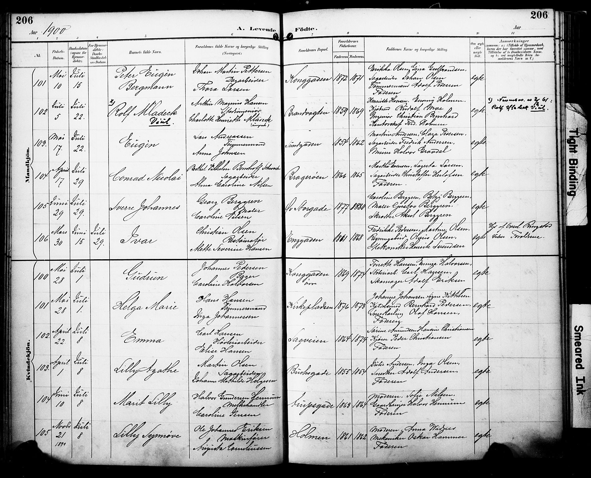 Bragernes kirkebøker, SAKO/A-6/F/Fb/L0008: Parish register (official) no. II 8, 1894-1902, p. 206