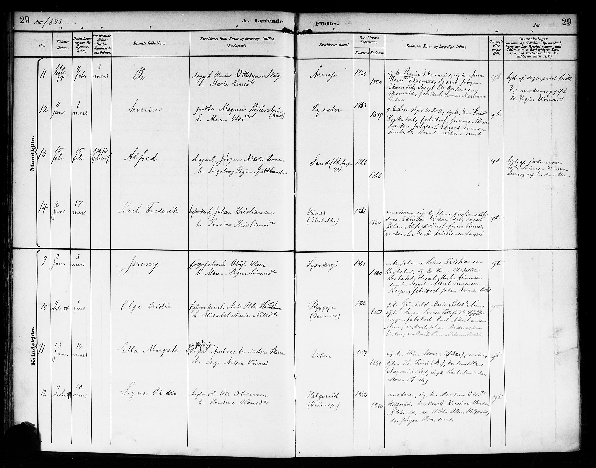 Nedre Eiker kirkebøker, AV/SAKO-A-612/F/Fa/L0004: Parish register (official) no. 4, 1893-1898, p. 29