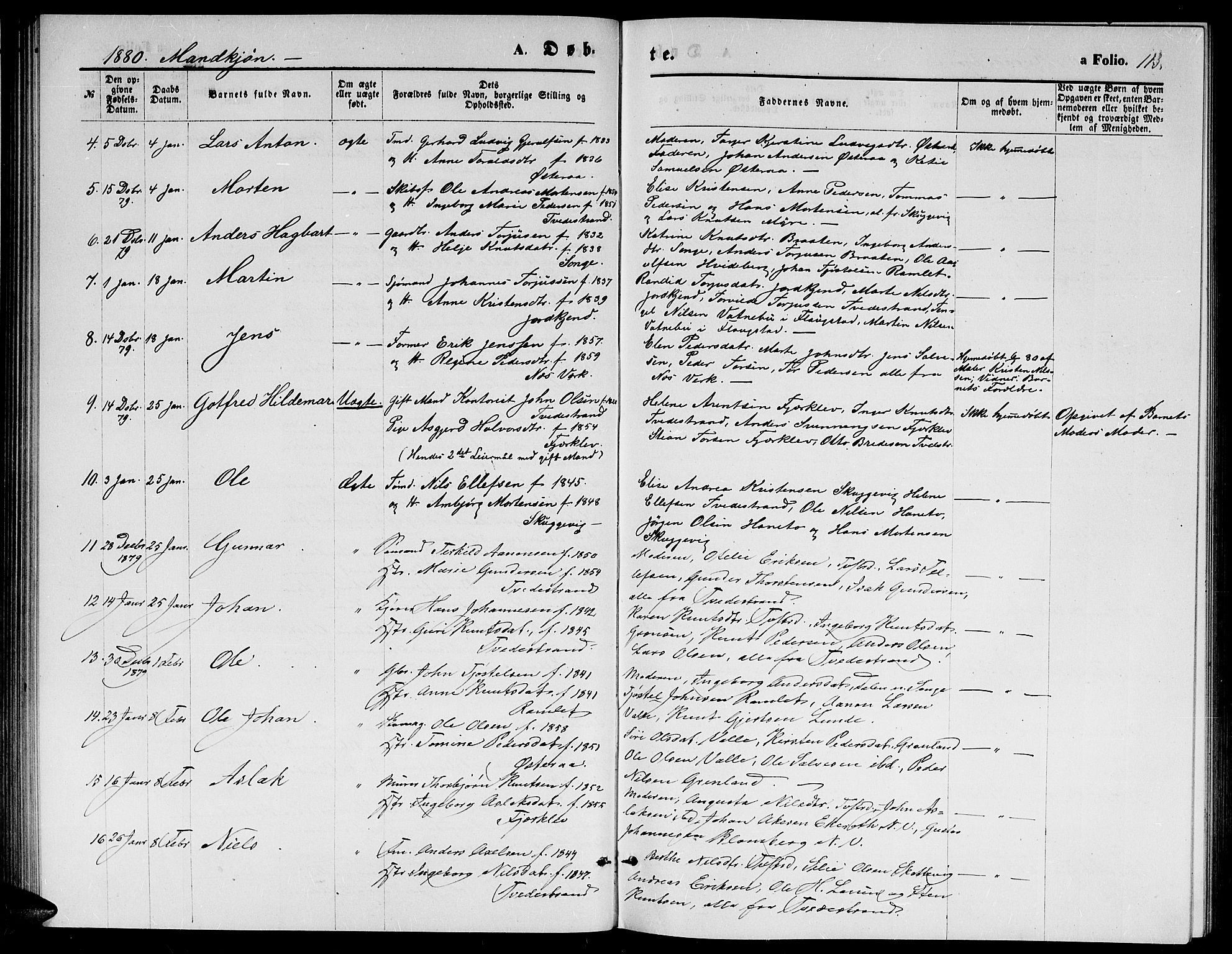 Holt sokneprestkontor, AV/SAK-1111-0021/F/Fb/L0009: Parish register (copy) no. B 9, 1871-1883, p. 113