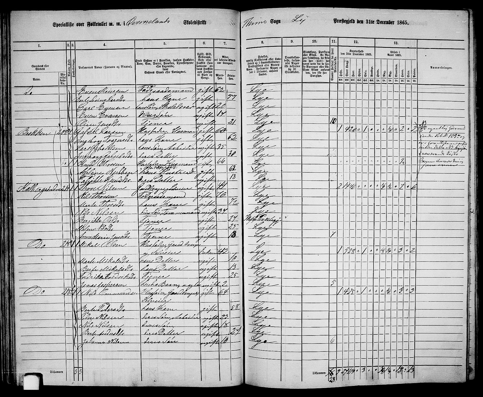 RA, 1865 census for Lye, 1865, p. 40