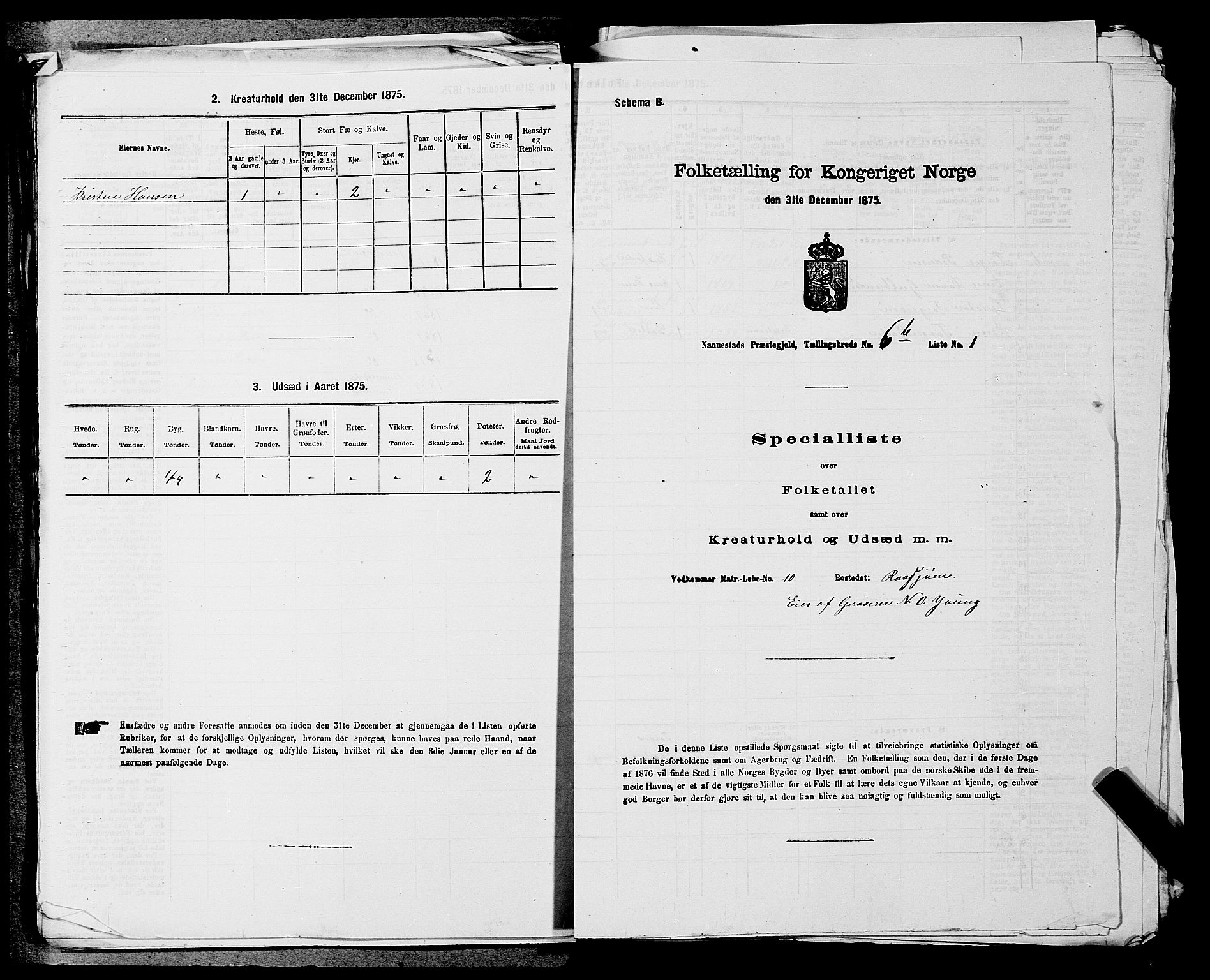 RA, 1875 census for 0238P Nannestad, 1875, p. 995