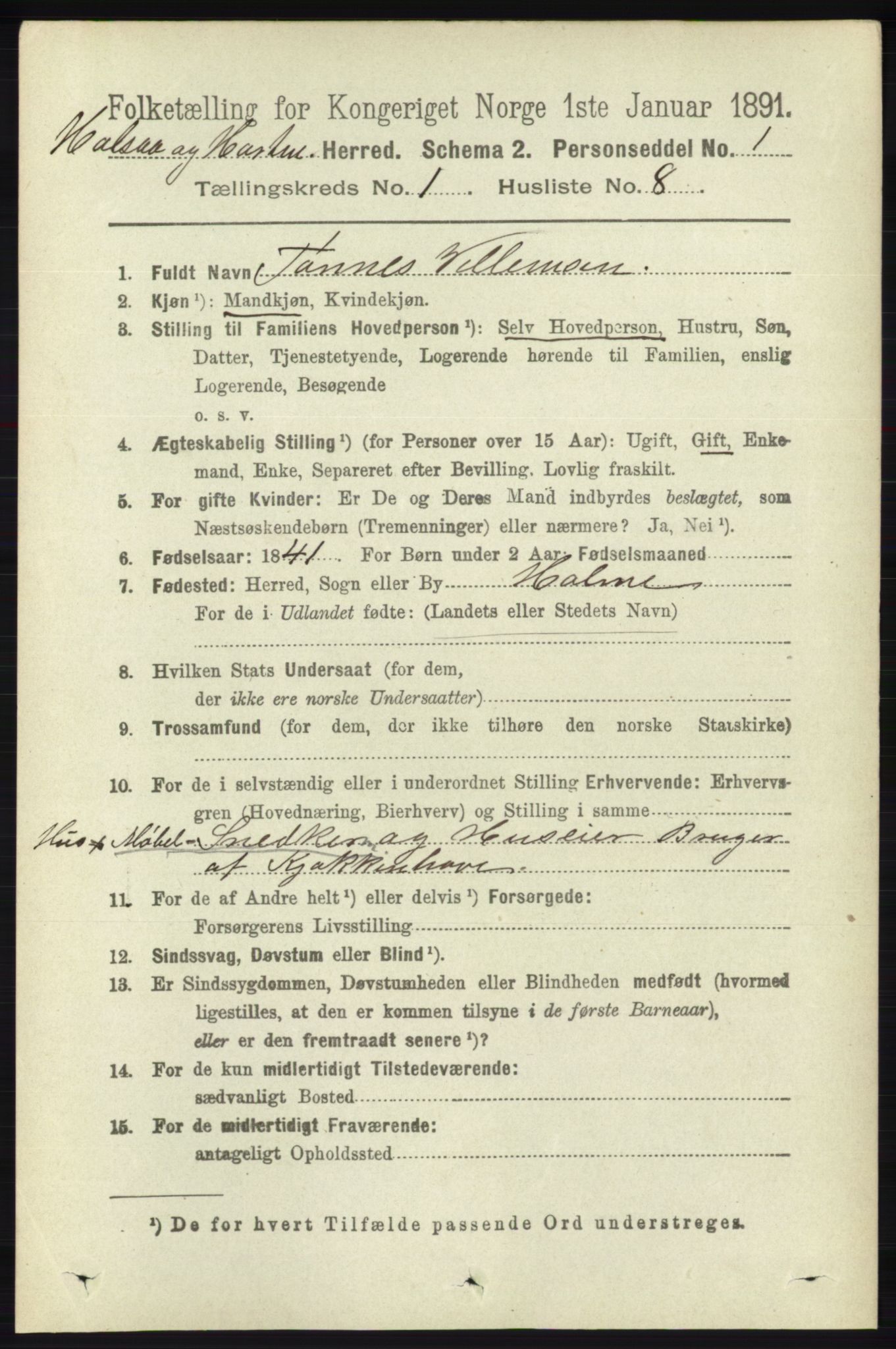 RA, 1891 census for 1019 Halse og Harkmark, 1891, p. 133