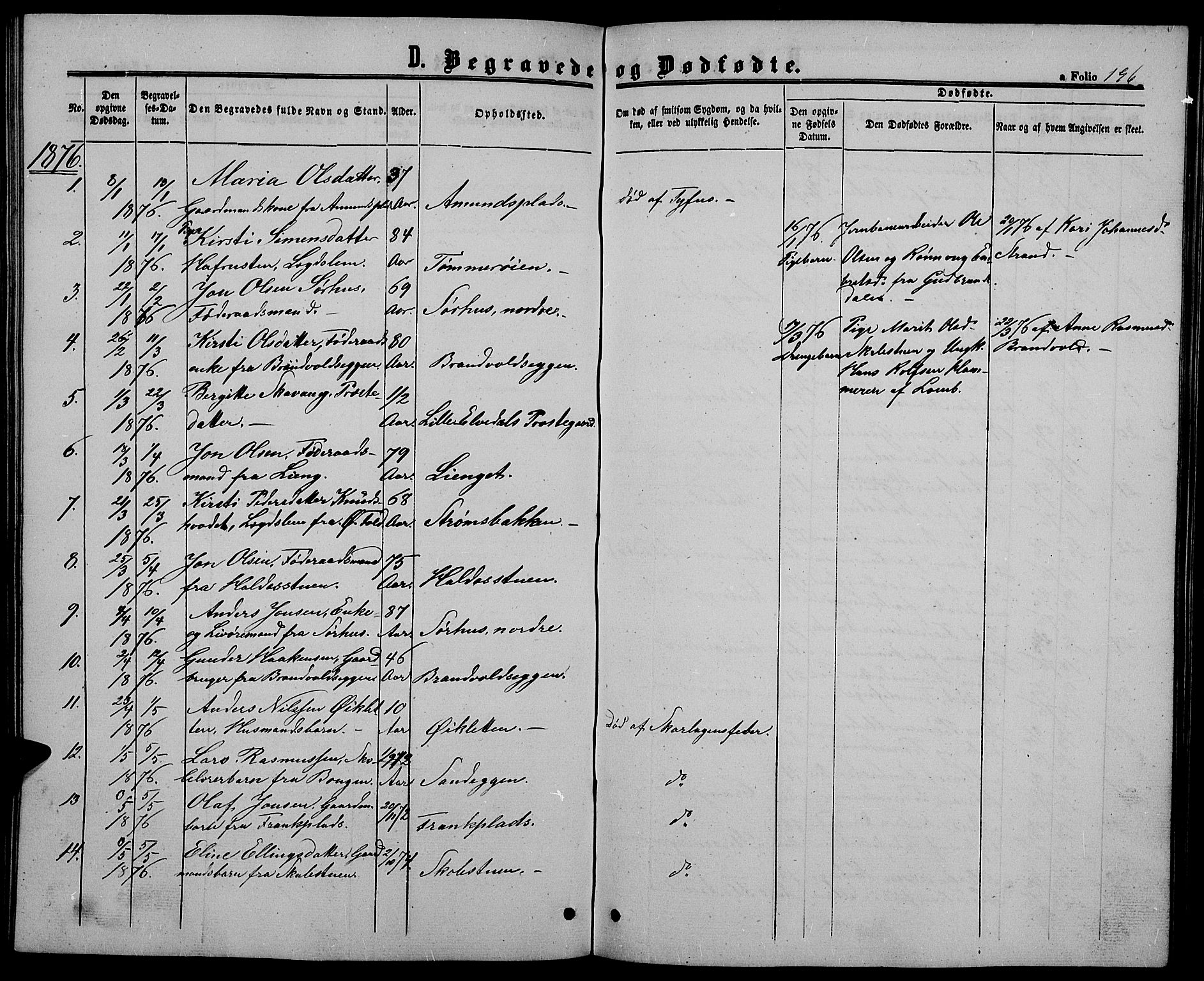Alvdal prestekontor, SAH/PREST-060/H/Ha/Hab/L0002: Parish register (copy) no. 2, 1863-1878, p. 196