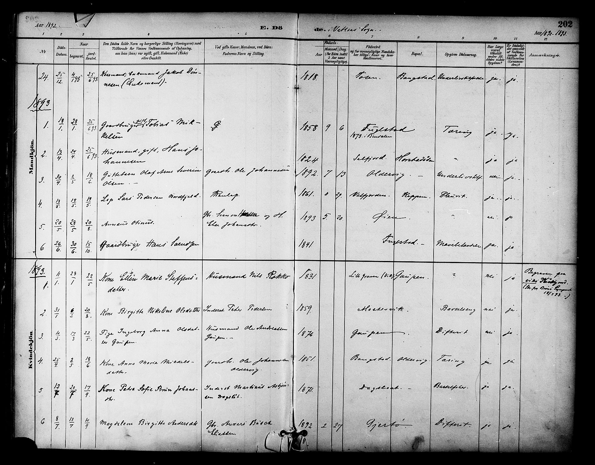 Ministerialprotokoller, klokkerbøker og fødselsregistre - Nordland, AV/SAT-A-1459/810/L0150: Parish register (official) no. 810A10 /1, 1884-1895, p. 202