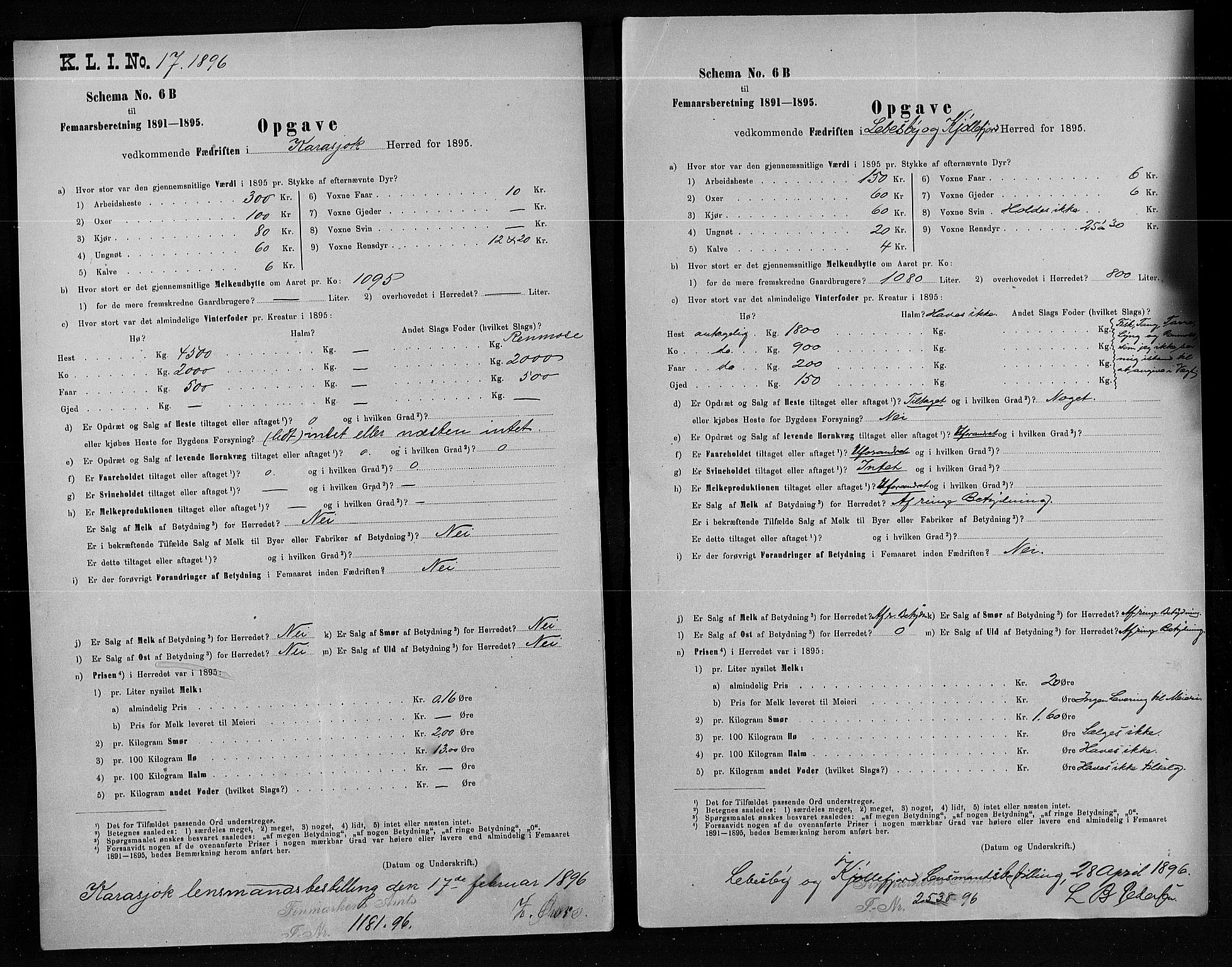 Statistisk sentralbyrå, Næringsøkonomiske emner, Generelt - Amtmennenes femårsberetninger, AV/RA-S-2233/F/Fa/L0080: --, 1895, p. 256