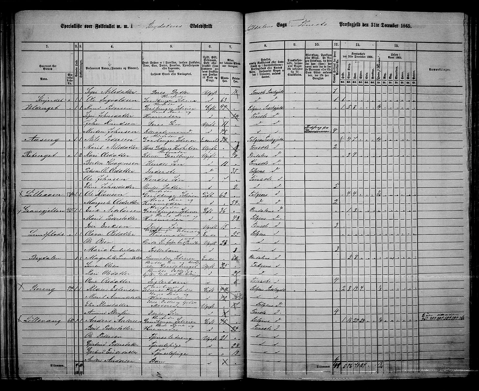 RA, 1865 census for Tynset, 1865, p. 39