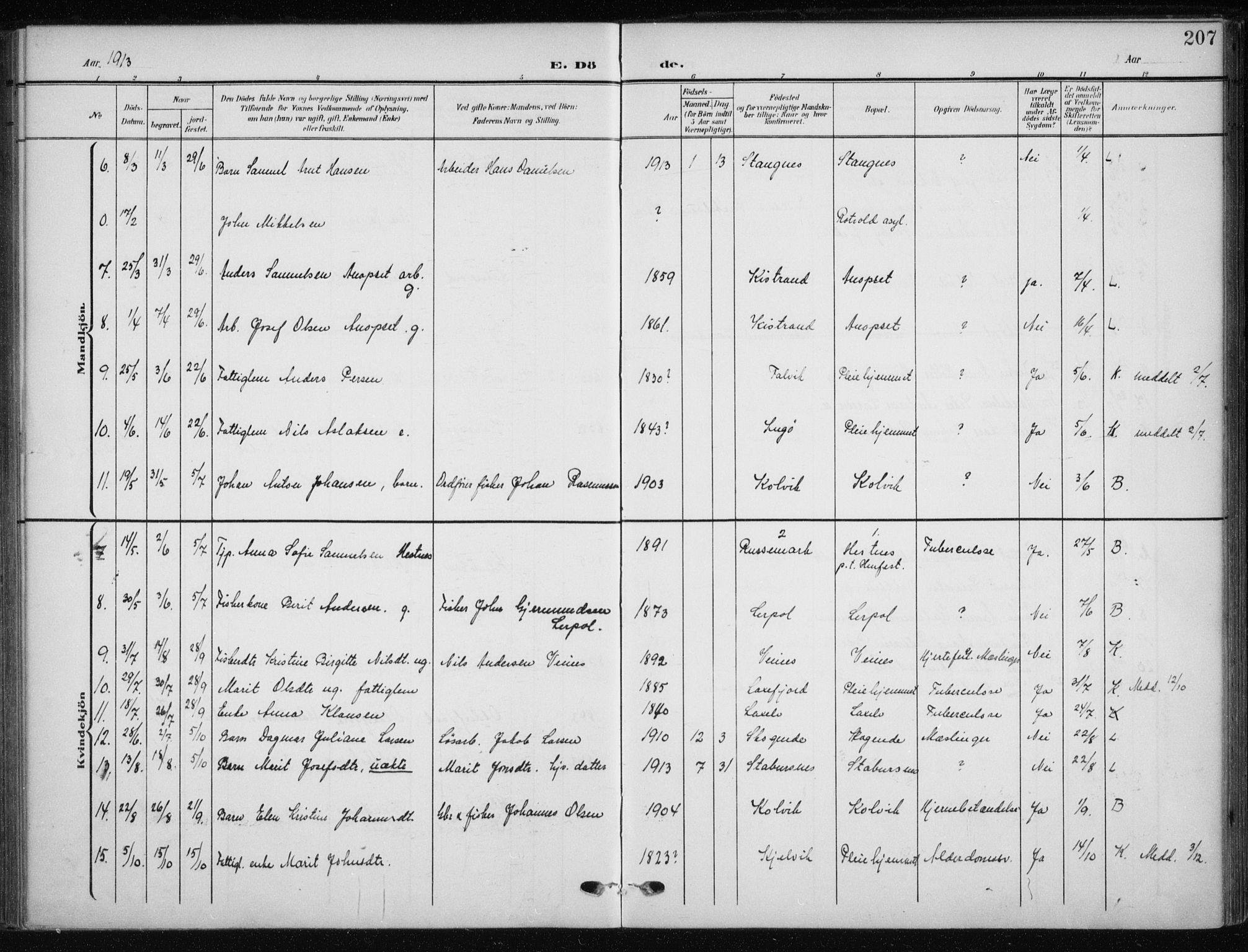 Kistrand/Porsanger sokneprestembete, AV/SATØ-S-1351/H/Ha/L0014.kirke: Parish register (official) no. 14, 1908-1917, p. 207