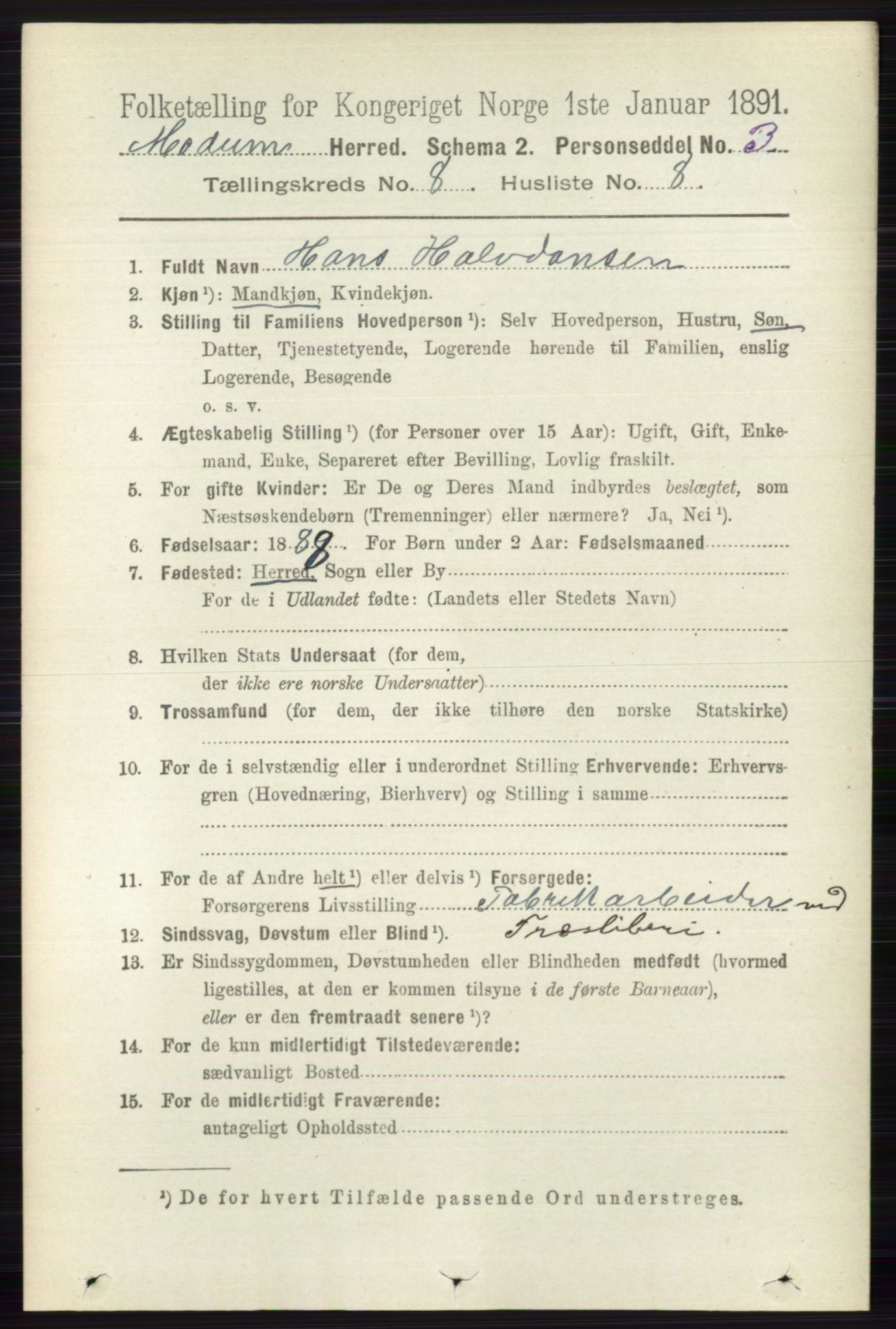 RA, 1891 census for 0623 Modum, 1891, p. 2906