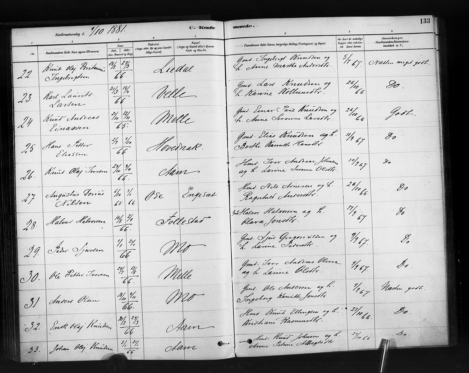 Ministerialprotokoller, klokkerbøker og fødselsregistre - Møre og Romsdal, AV/SAT-A-1454/513/L0176: Parish register (official) no. 513A03, 1877-1889, p. 133